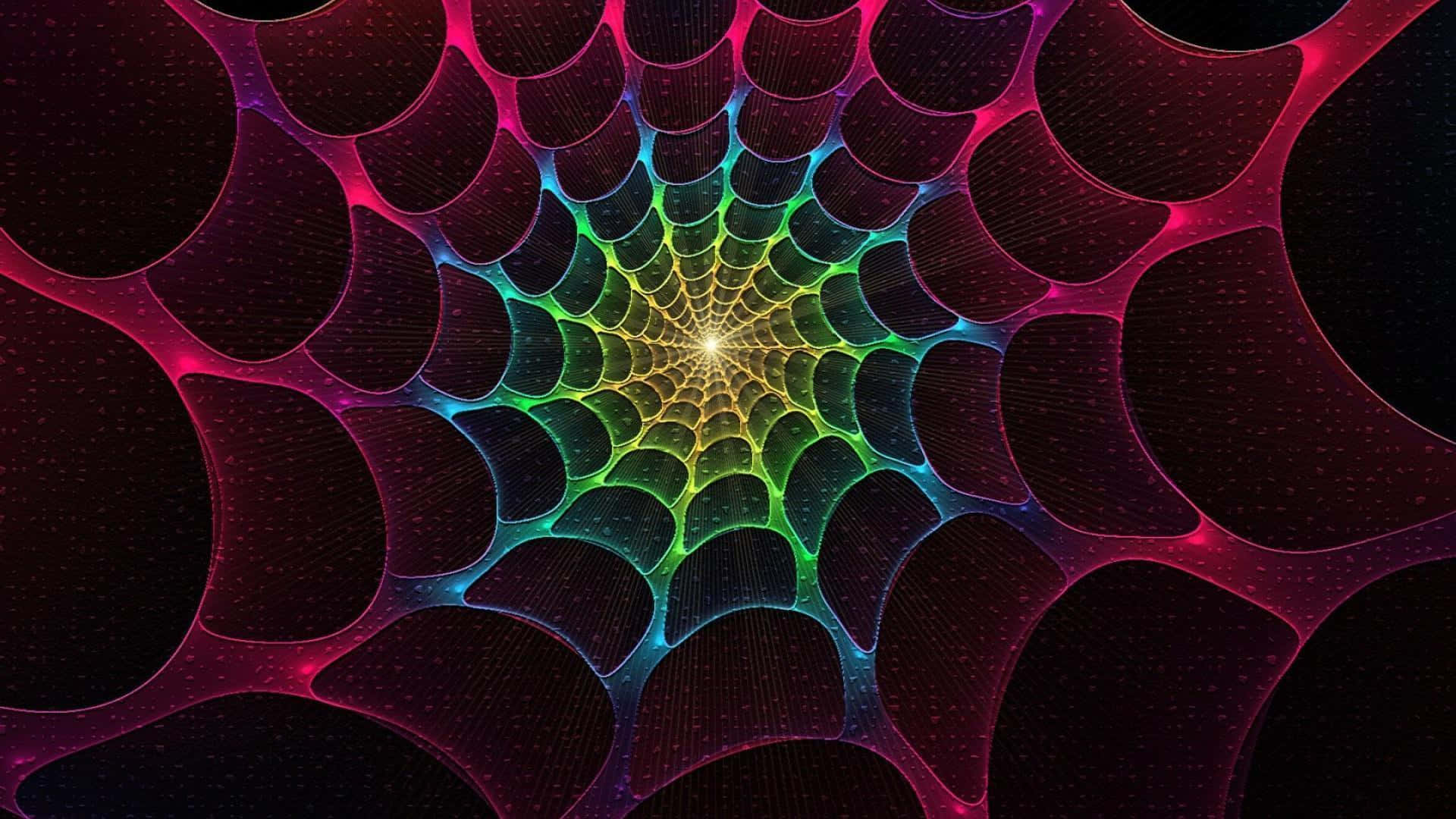 Digital Artwork Cool Colored Psychedic Web Abstract Wallpaper