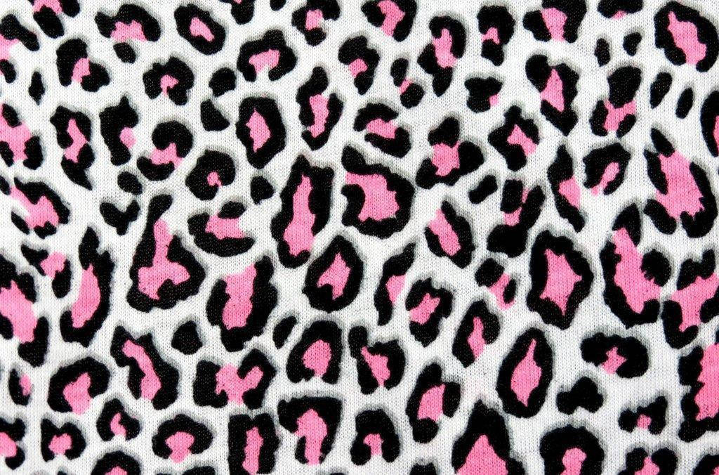 Download Cool Cute Leopard Pattern Wallpaper | Wallpapers.com