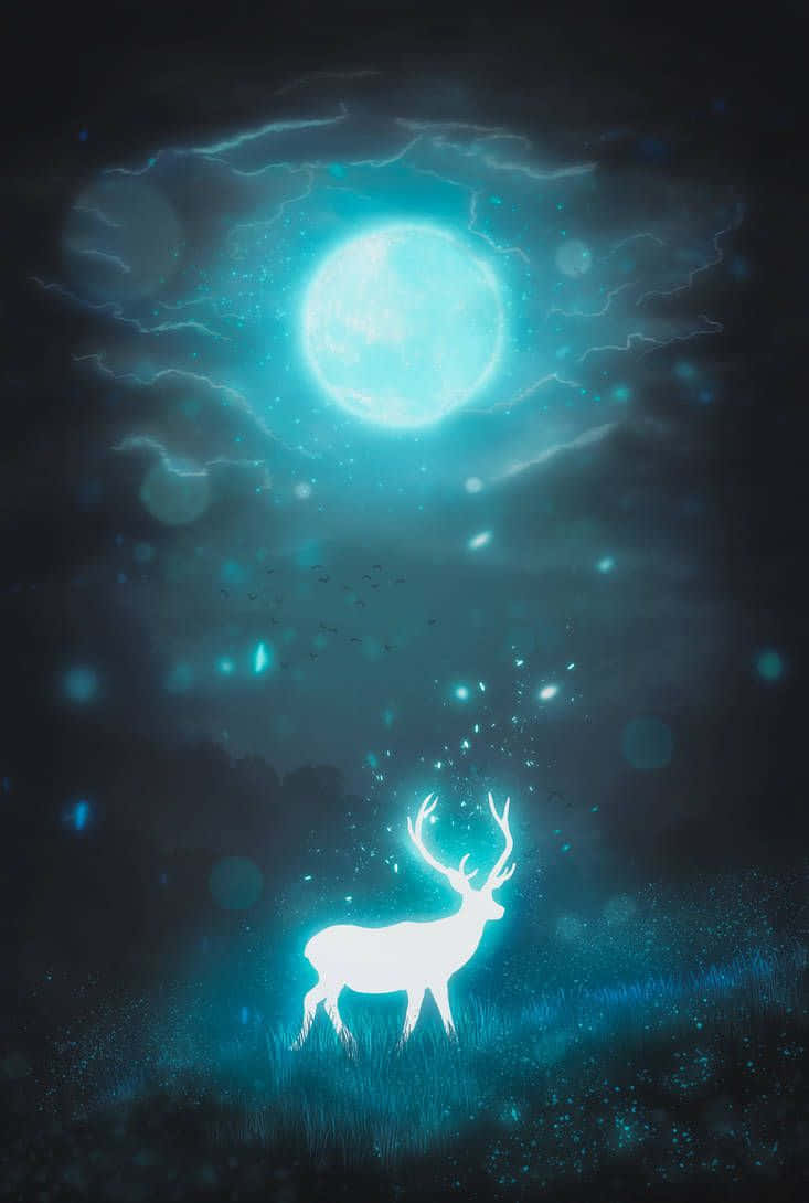 Take A Walk In The Woods and Encounter A Cool Deer Wallpaper