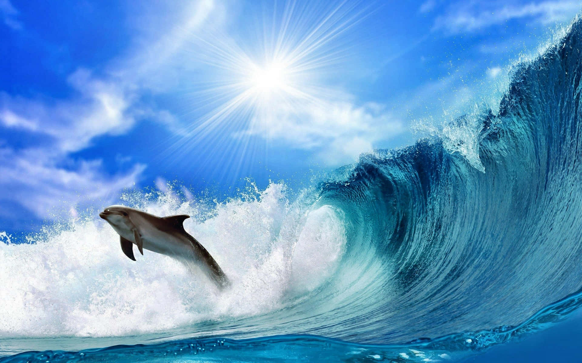 A playful cool dolphin jumping out of the water Wallpaper