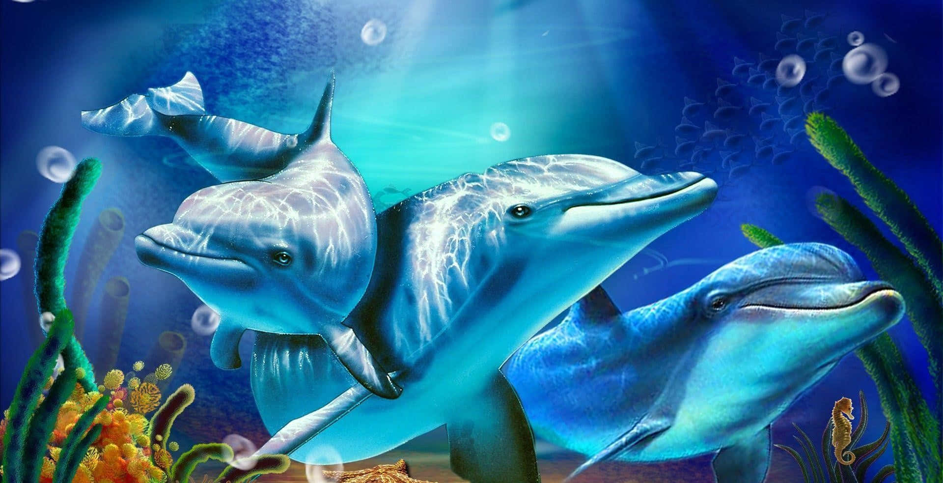 A cool dolphin swims in blue ocean water Wallpaper