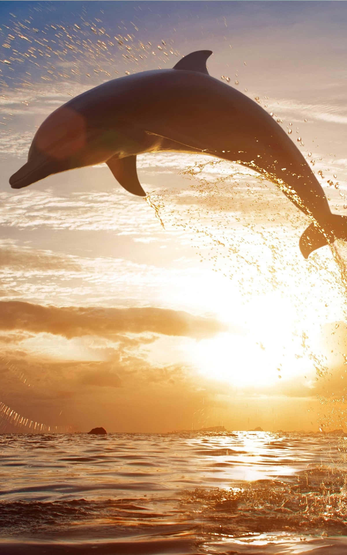 Unmaestoso Delfino Fresco Che Nuota Nell'oceano Blu Incontaminato Sfondo