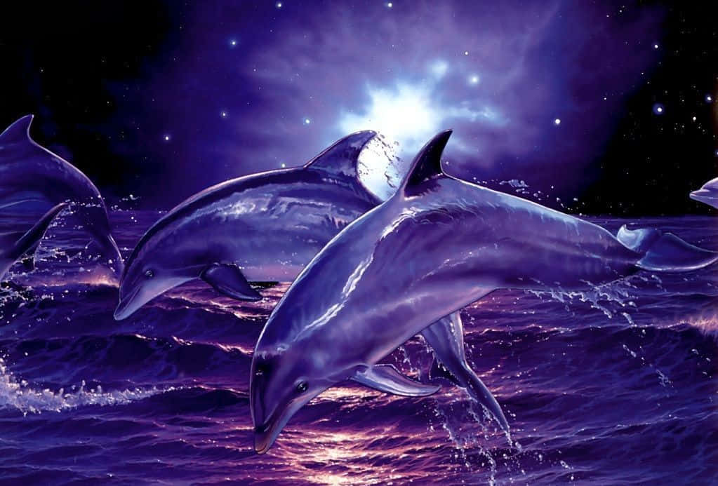 Cool Dolphins Purple Art Wallpaper