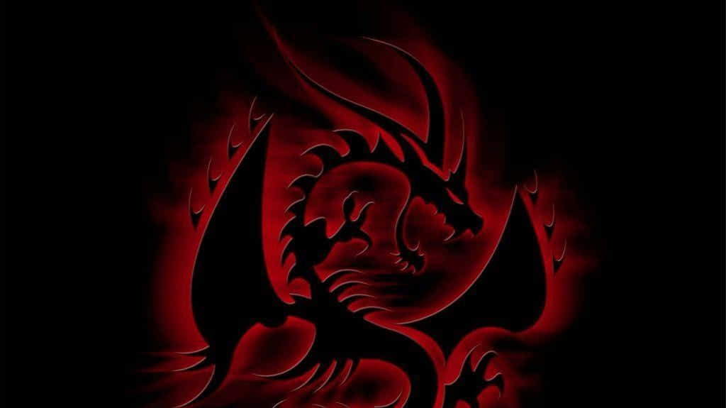 Cool Dragon Pictures