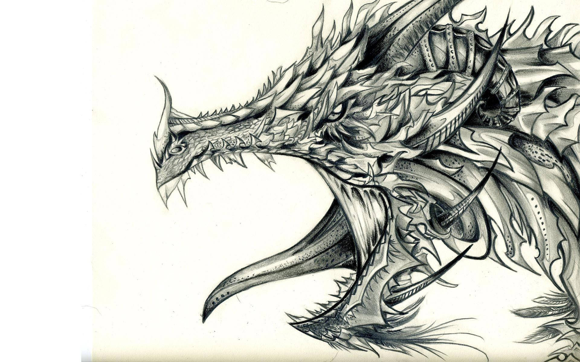 Cool Drawing Armored Dragon Wallpaper