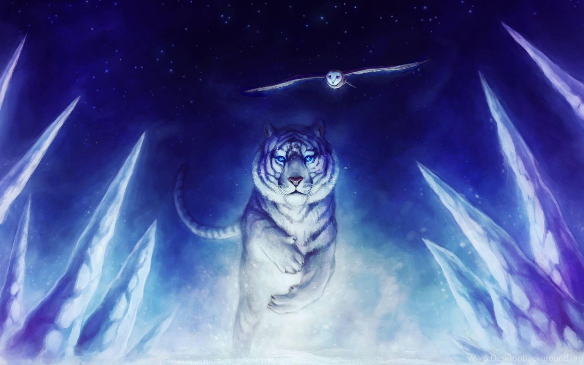 Cool Dreamy Photo Of Tiger And Owl Background