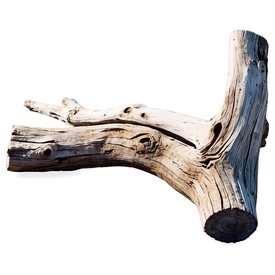 Download Cool Driftwood Texture Png Ami | Wallpapers.com