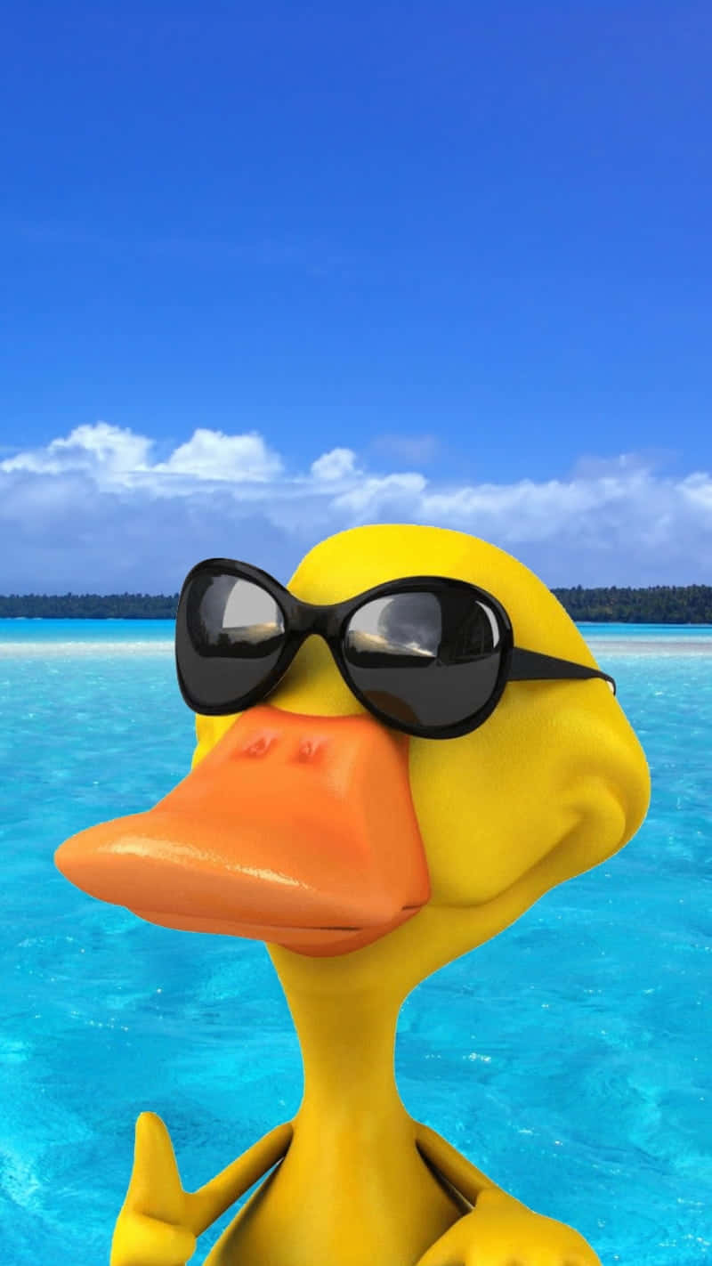 Cool Duck On Vacation Wallpaper