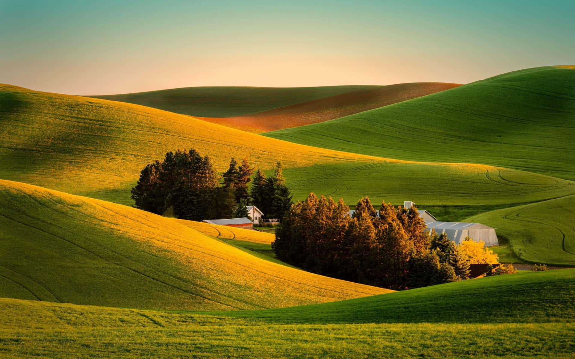A Green Hill With Trees And A Farm Wallpaper