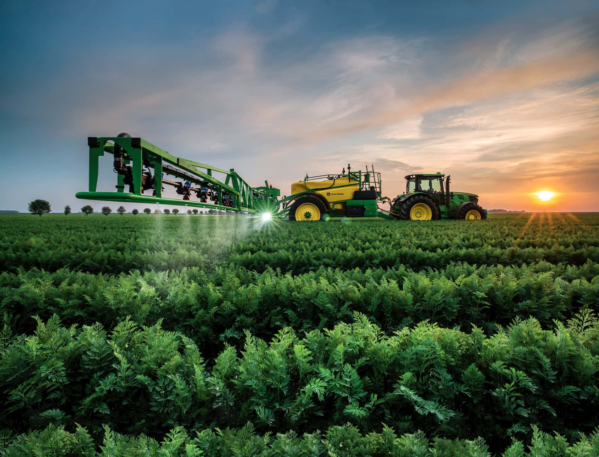 A Tractor Spraying A Field Of Ferns Wallpaper