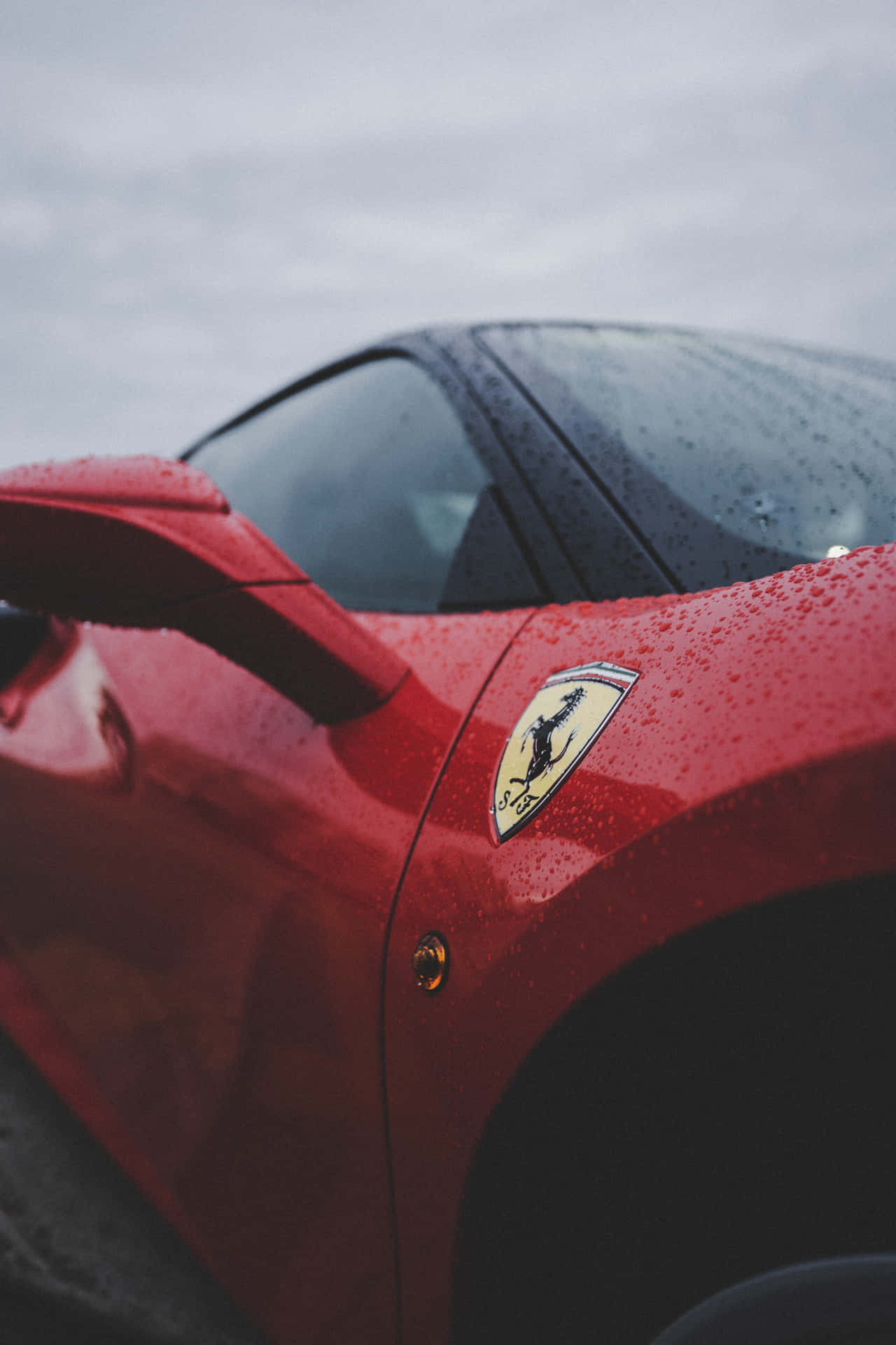 "The Ultimate Driving Machine: Cool Ferrari Cars" Wallpaper
