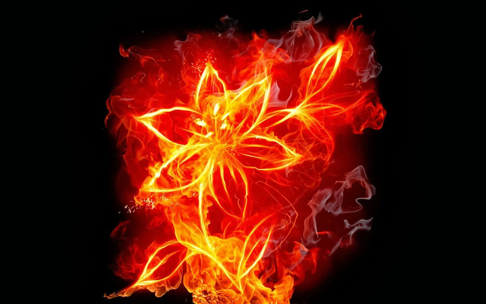 Cool Fire Flower Wallpaper