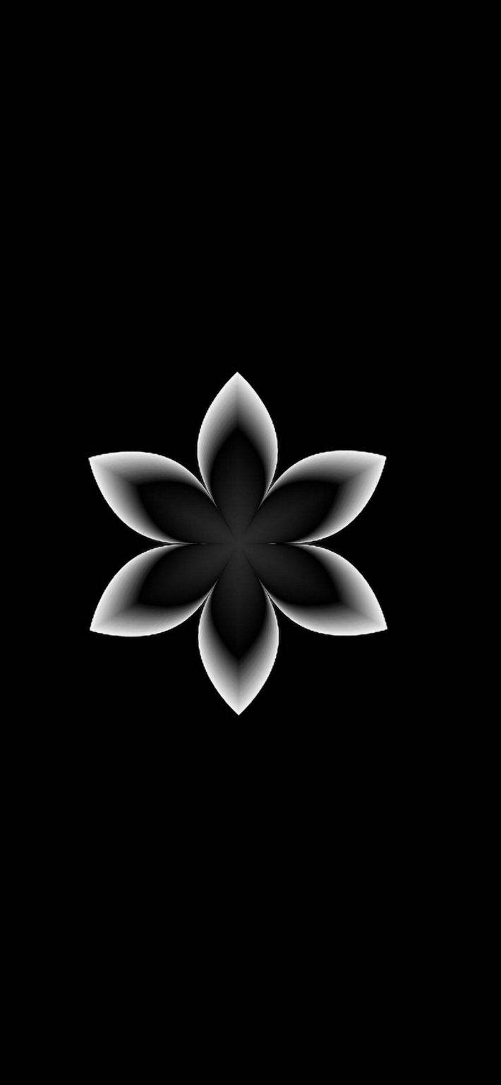 Cool Flower Art iPhone Dark Wallpaper
