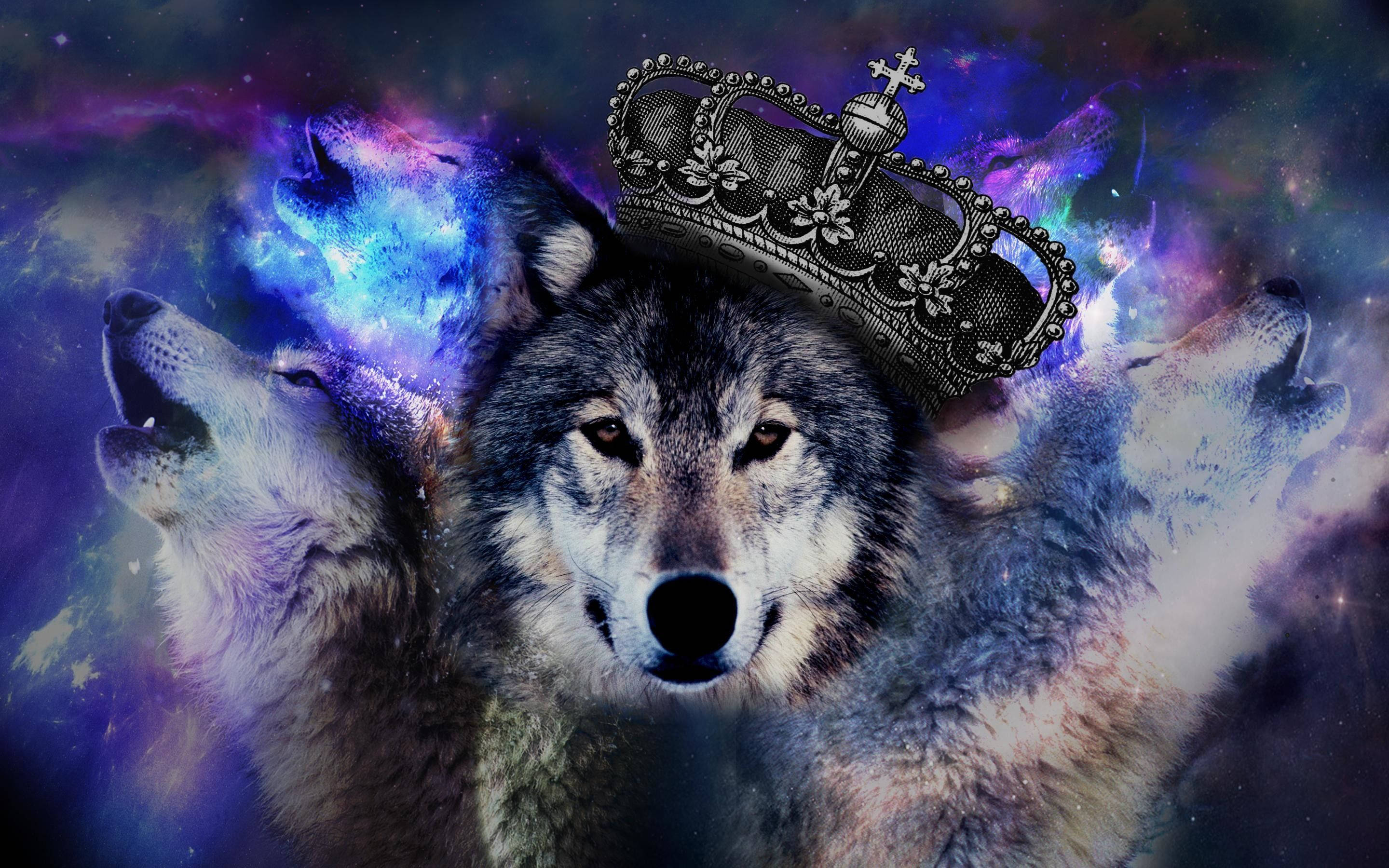 Cool Galaxy With Crowned Wolf Wallpaper
