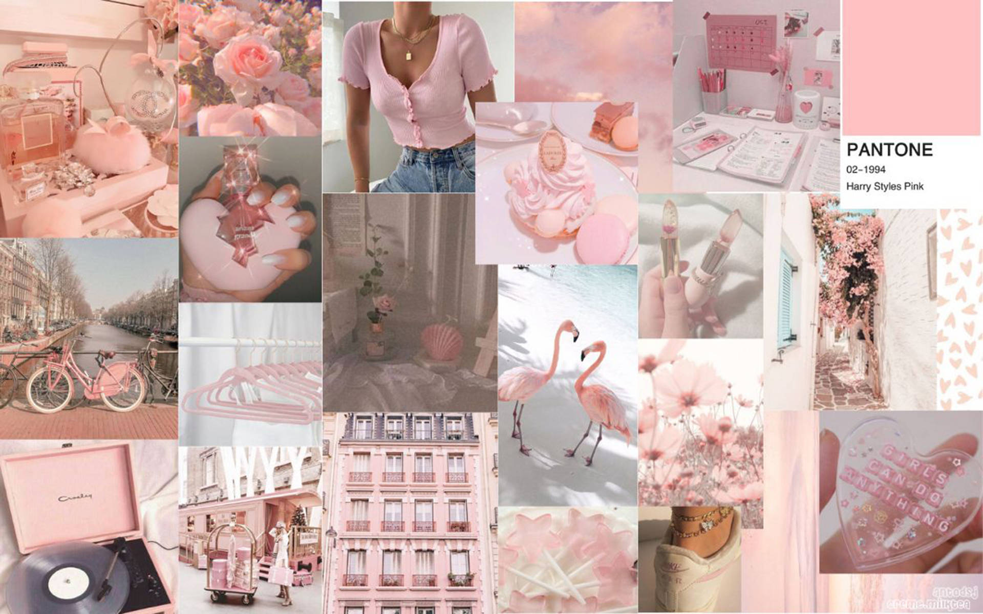 pink palette - a collage of pink images Wallpaper