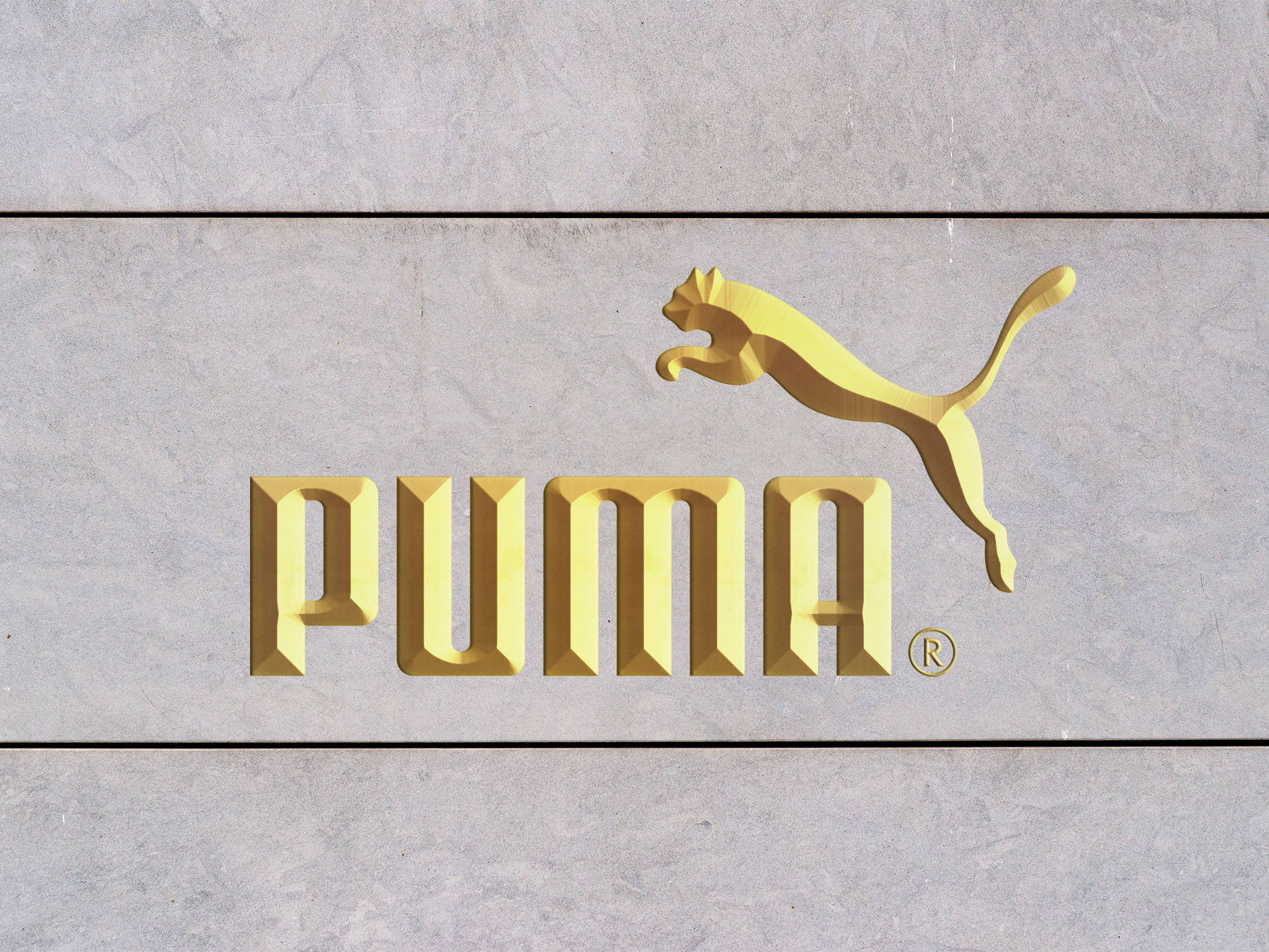Coolesgoldener Puma Wallpaper