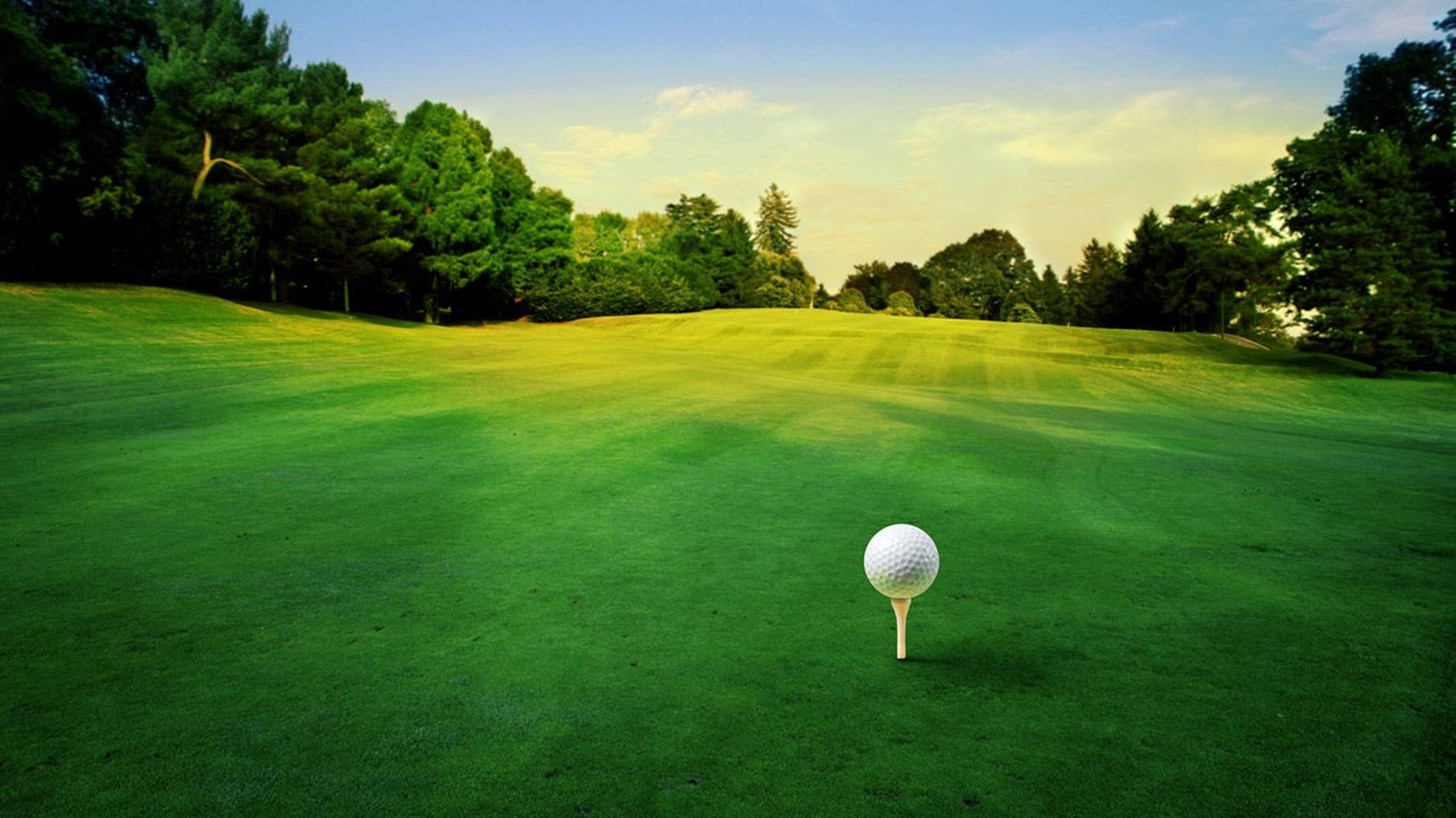 Campode Golf Verde Genial Con Tee Fondo de pantalla