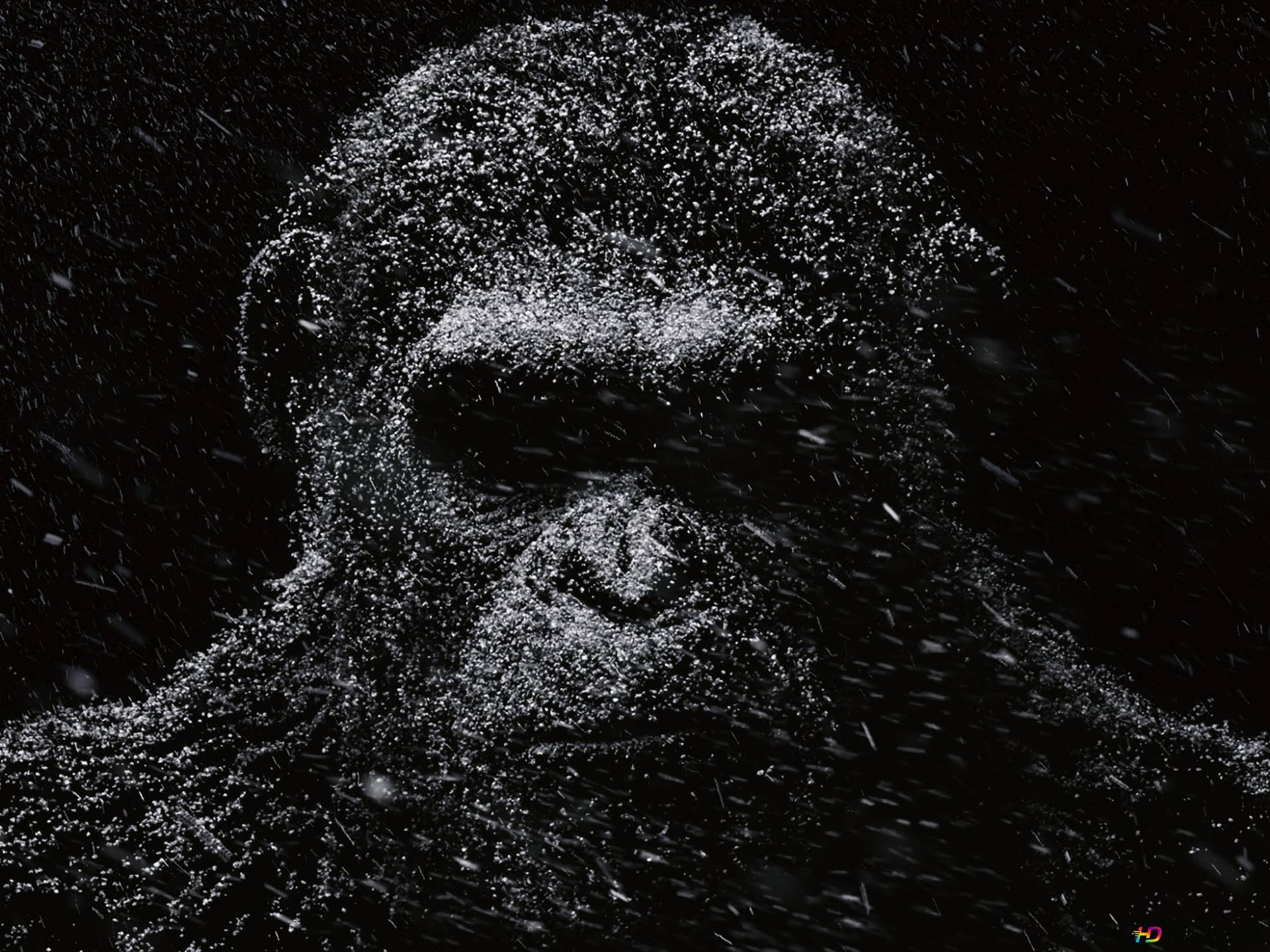 Denne sjove gorilla vil gøre dig smilende! Wallpaper