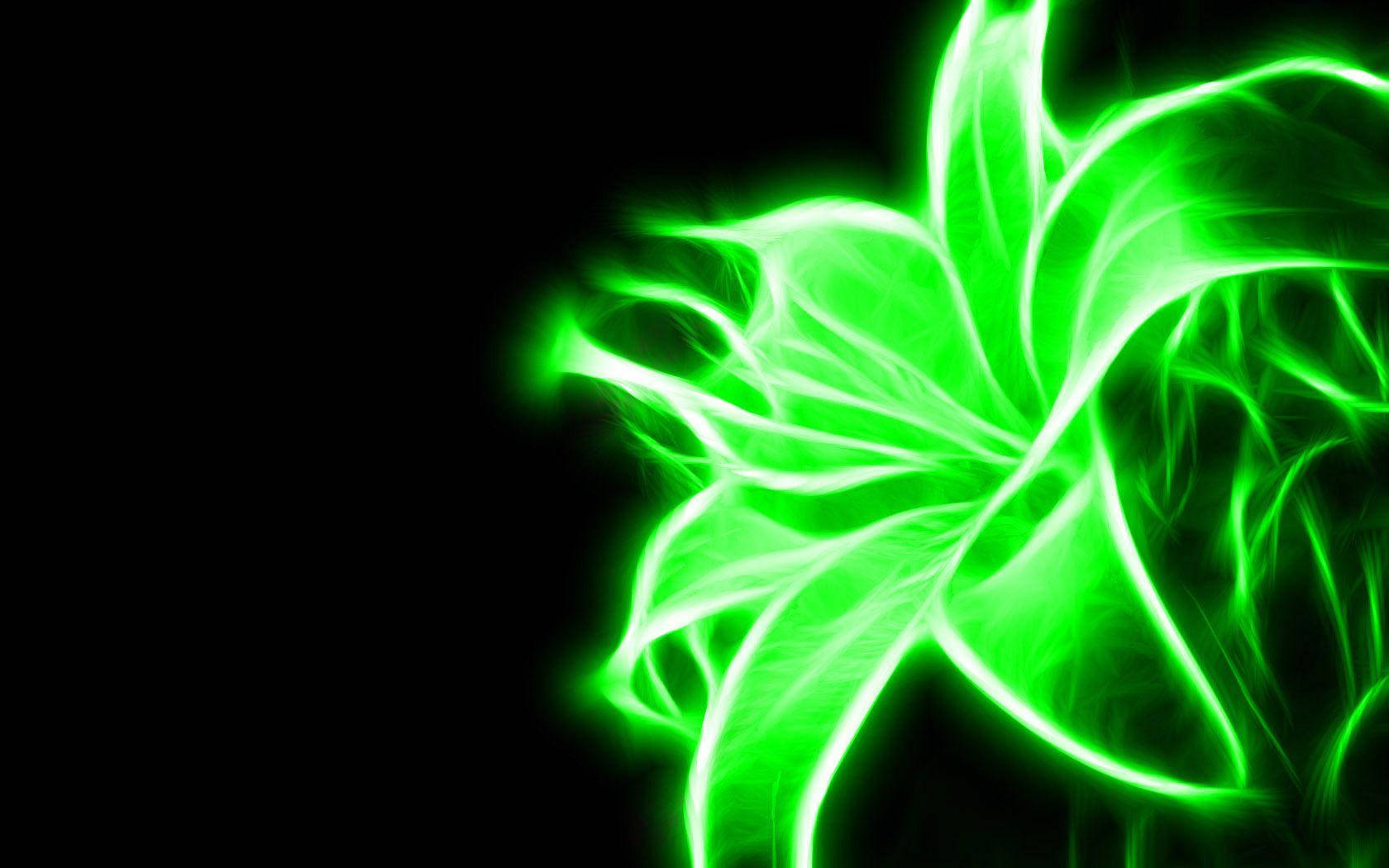 Cool Green Stargazer Flower Wallpaper