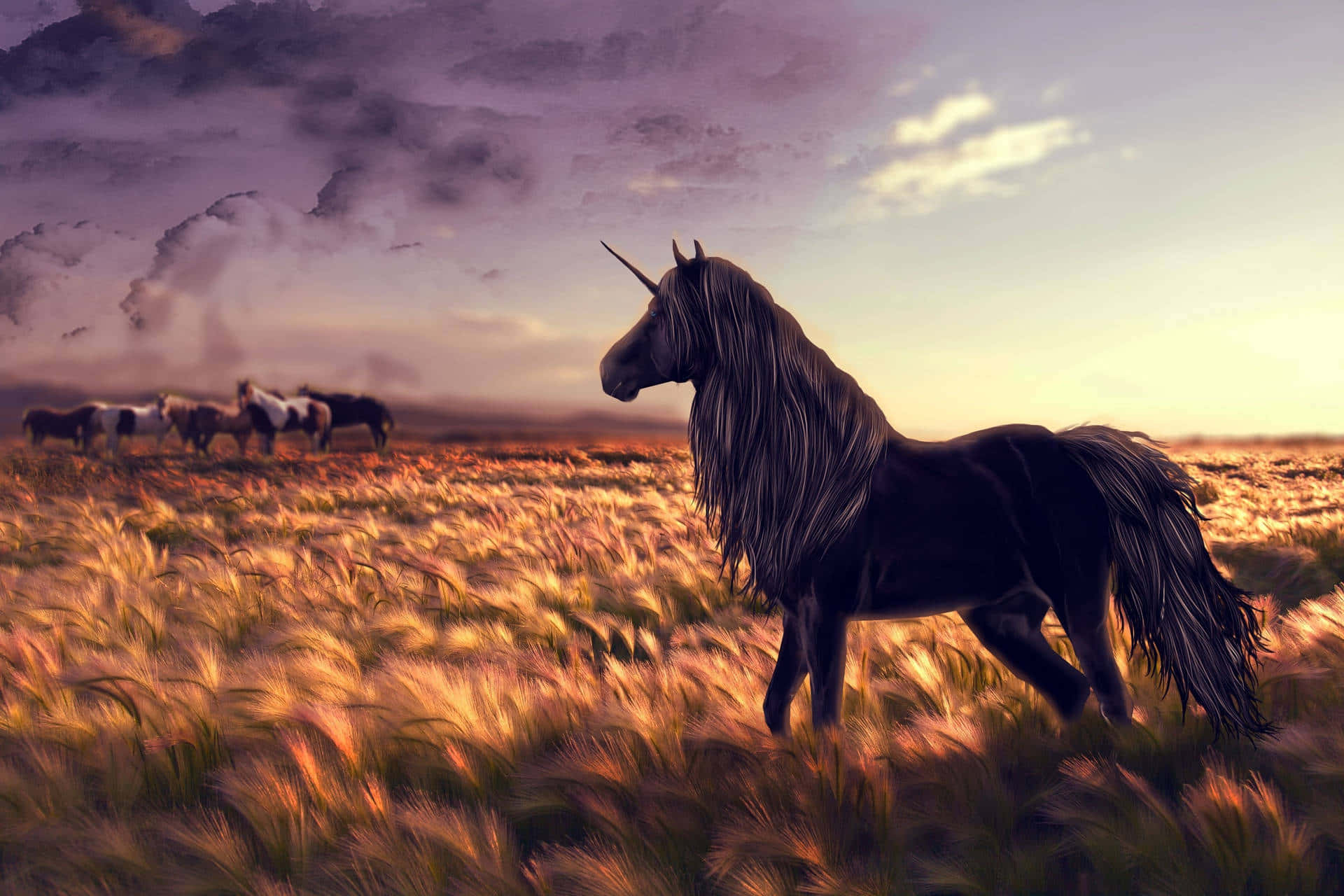 A Horse In A Field Wallpaper