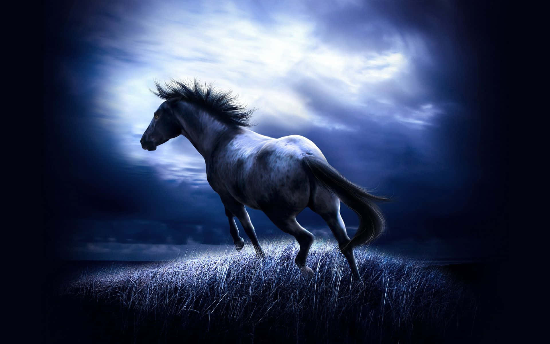 Cool Horse Glowing In The Moonlight Wallpaper