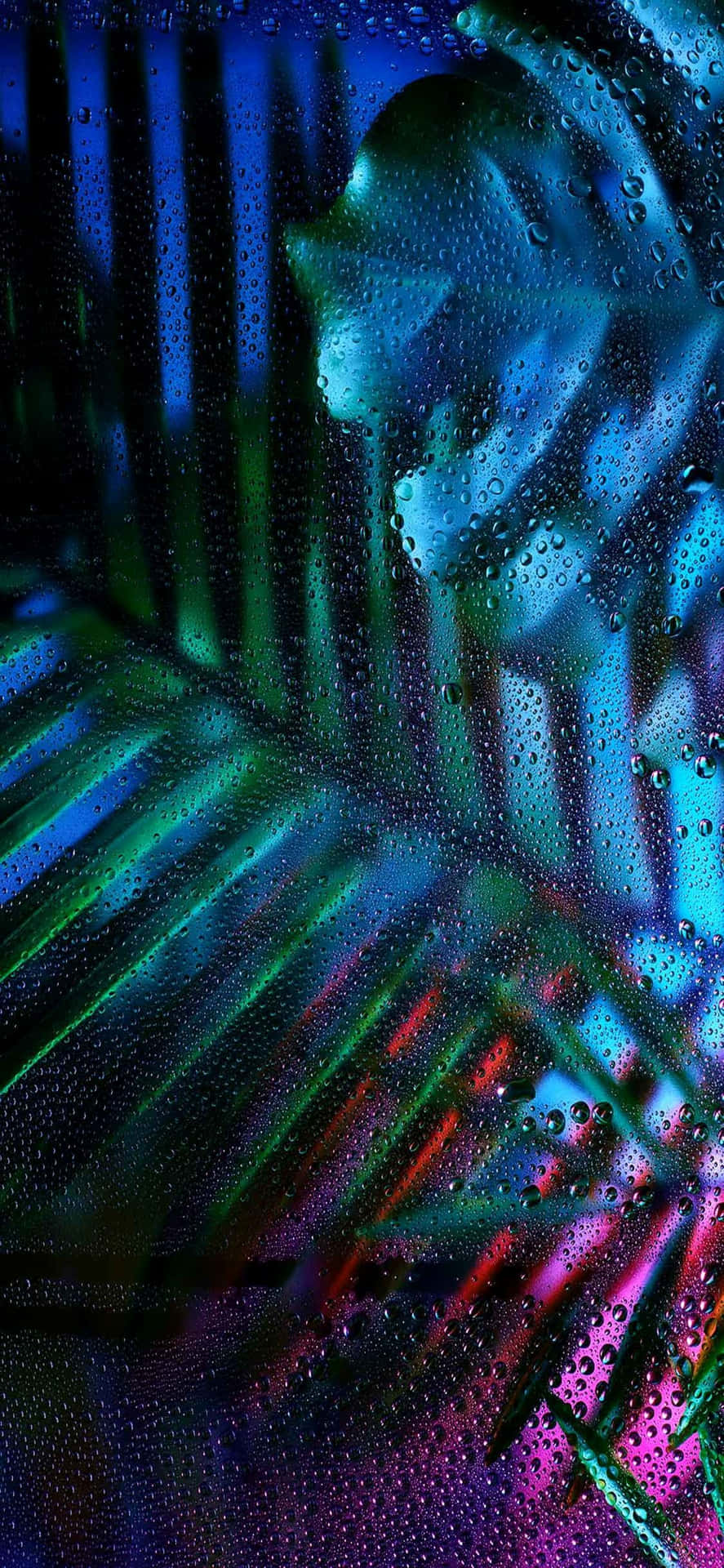En farverig tropisk blad med vanddråber på det. Wallpaper