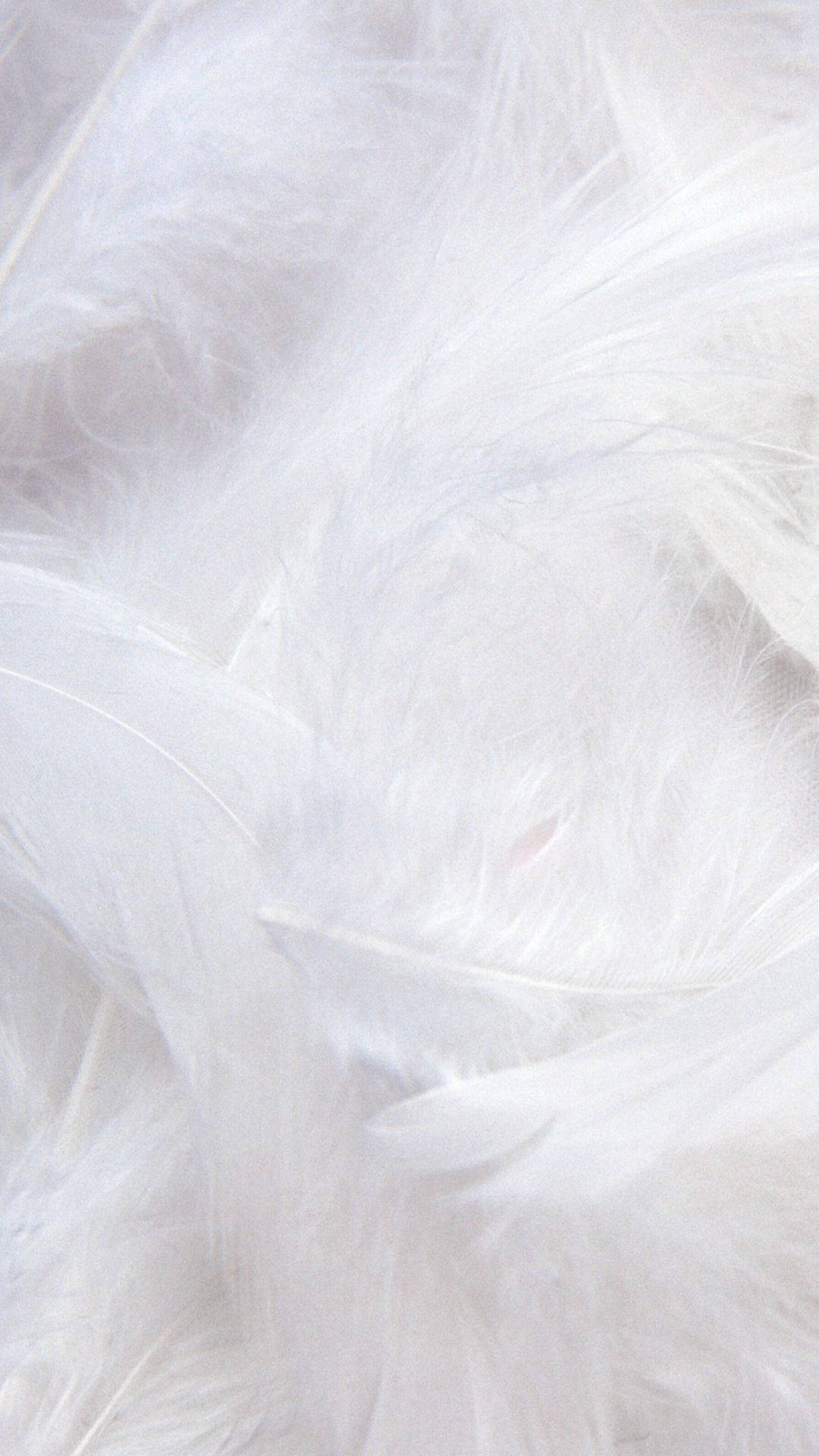 Cool Iphone White Feathers Wallpaper