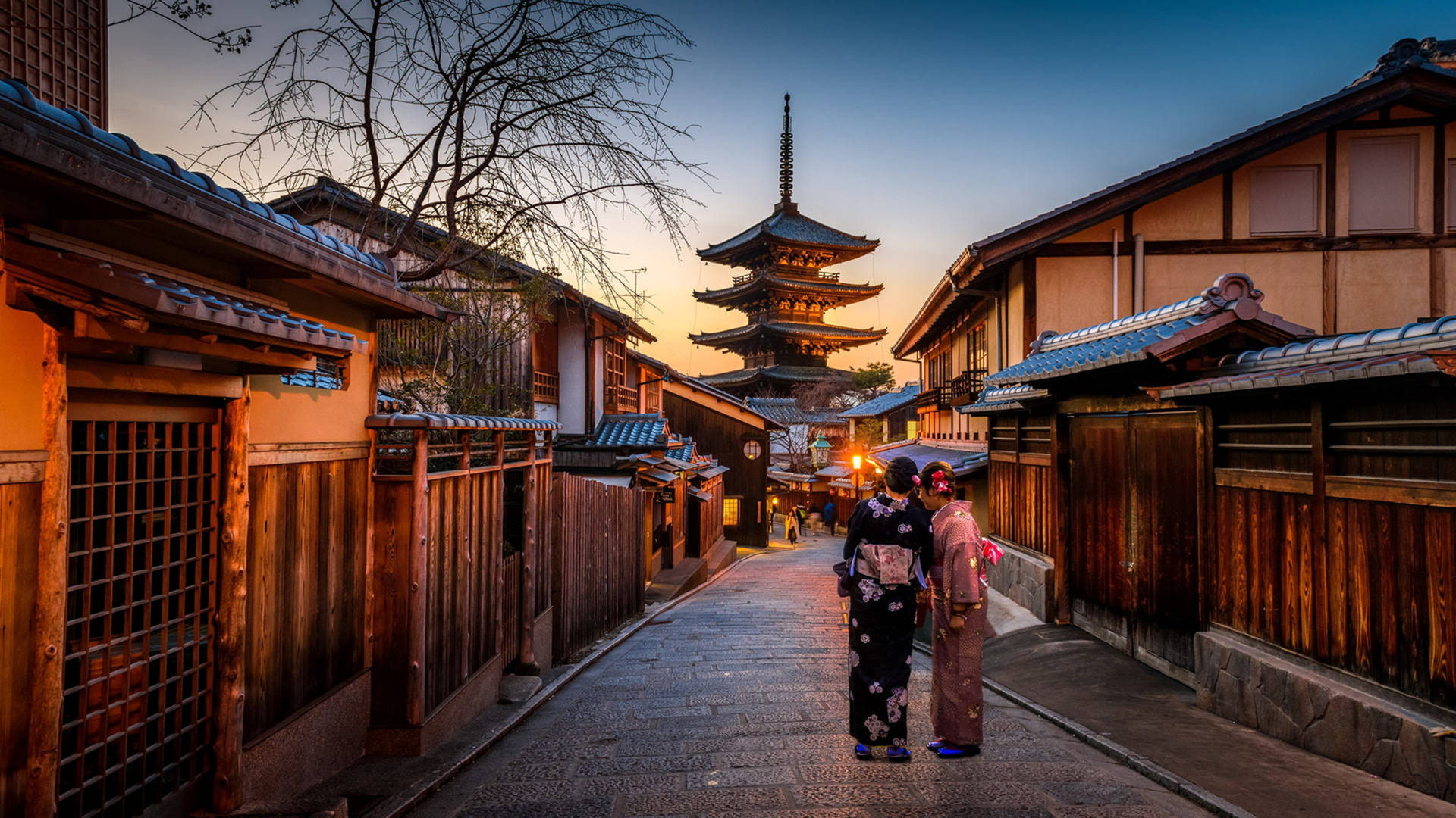 Cool Japanese Pagoda Kyoto