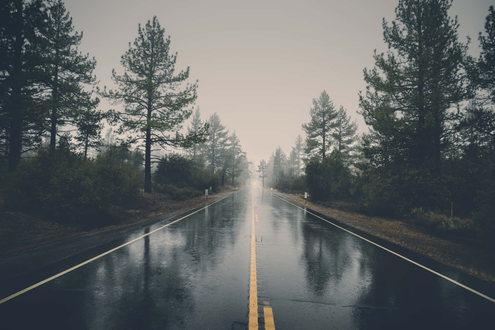 Cool Landscape With A Wet Road Wallpaper