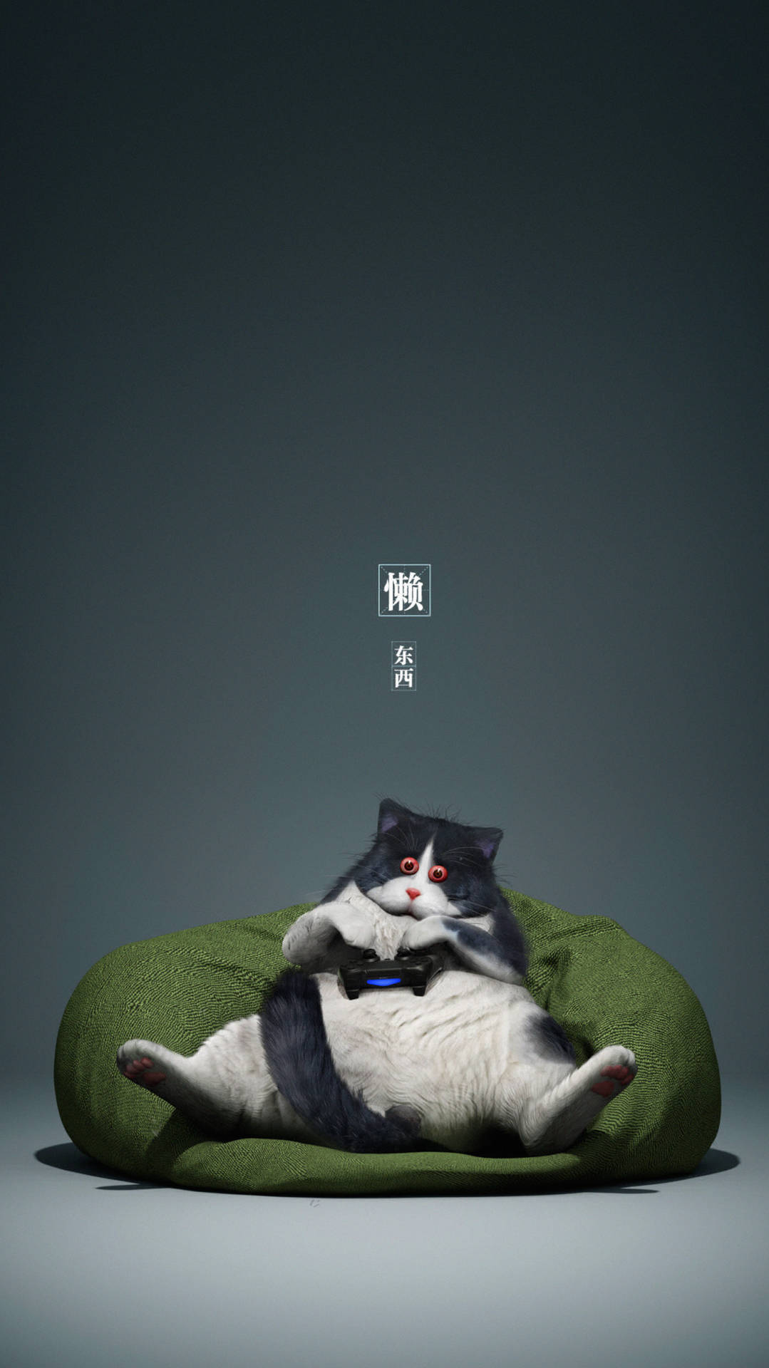 This Cool Cat Is Feeling Lazy Wallpaper