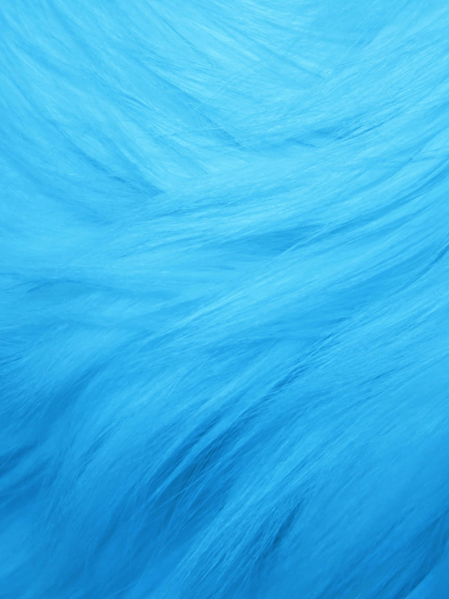Cool Light Blue Furry Wallpaper
