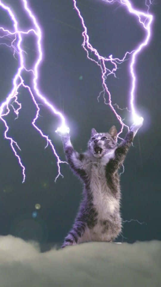 Cool Lightning Powers Of Cat Wallpaper