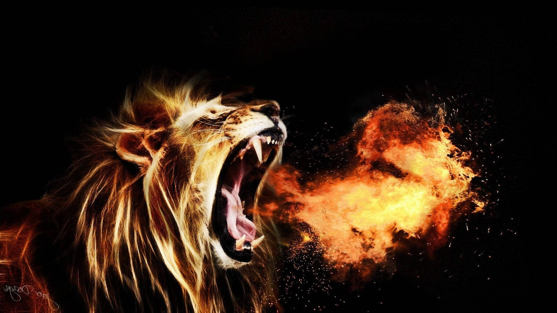 Sjov løve der trækker vejret ild Wallpaper