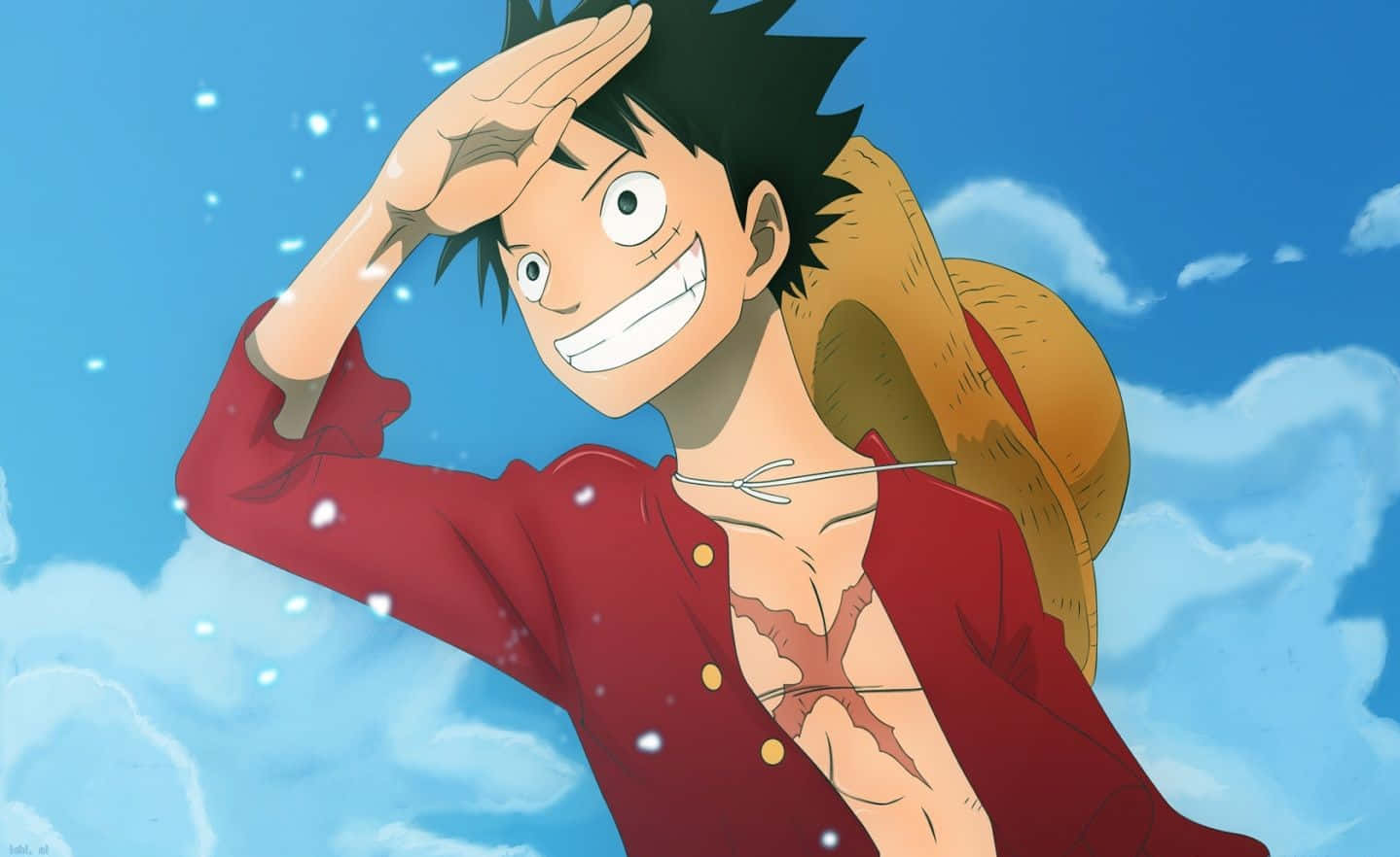 "Cool Luffy: The Pirate King" Wallpaper
