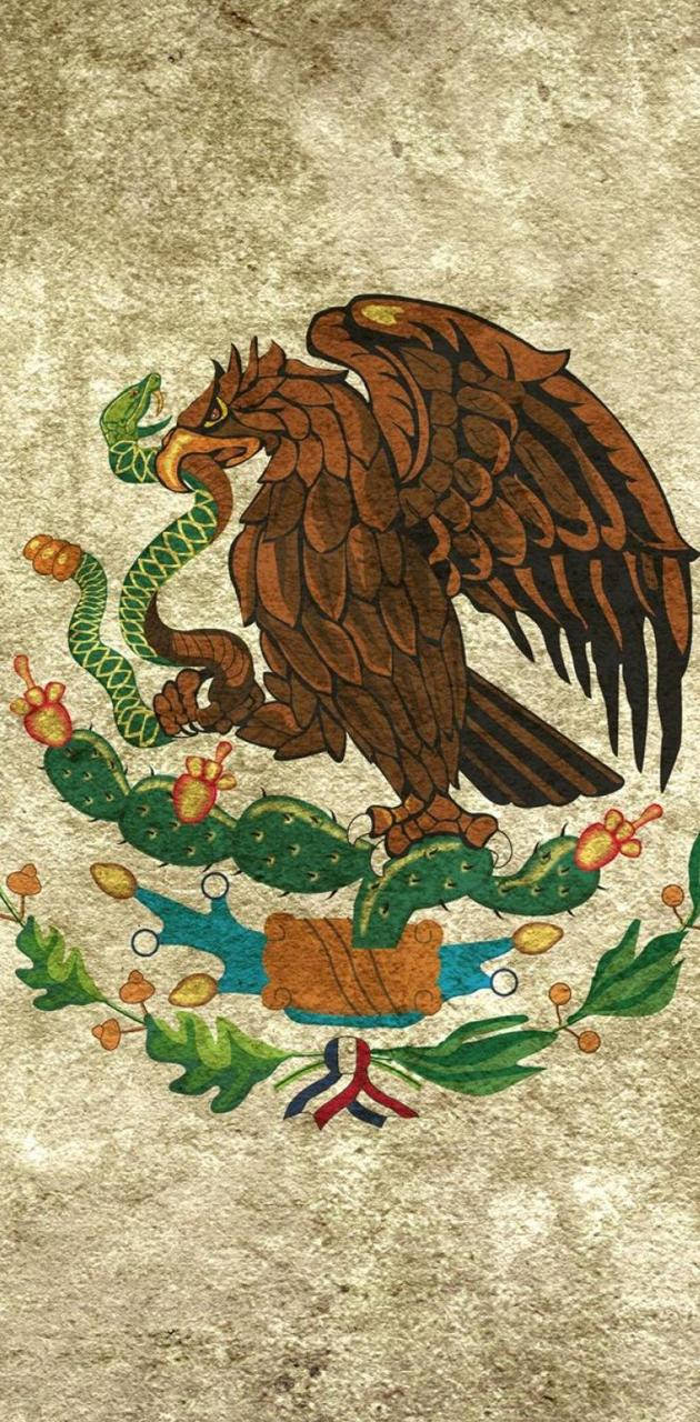 Mexicosflagga - Digital Konst Av Samantha Mcdonald. Wallpaper