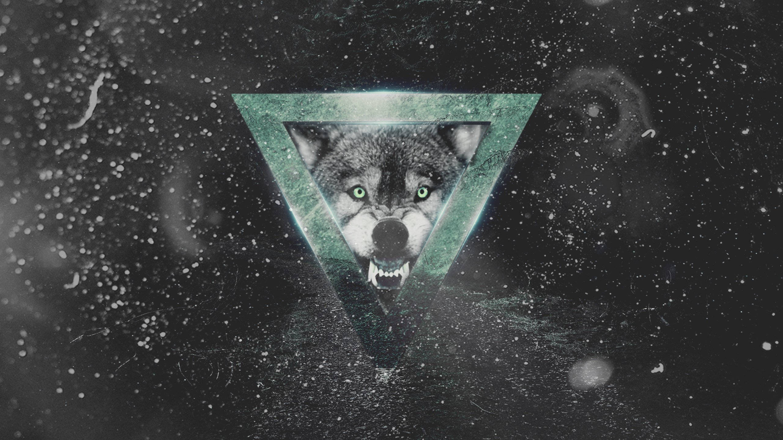 Cool Monochrome Galaxy With Angry Wolf Wallpaper