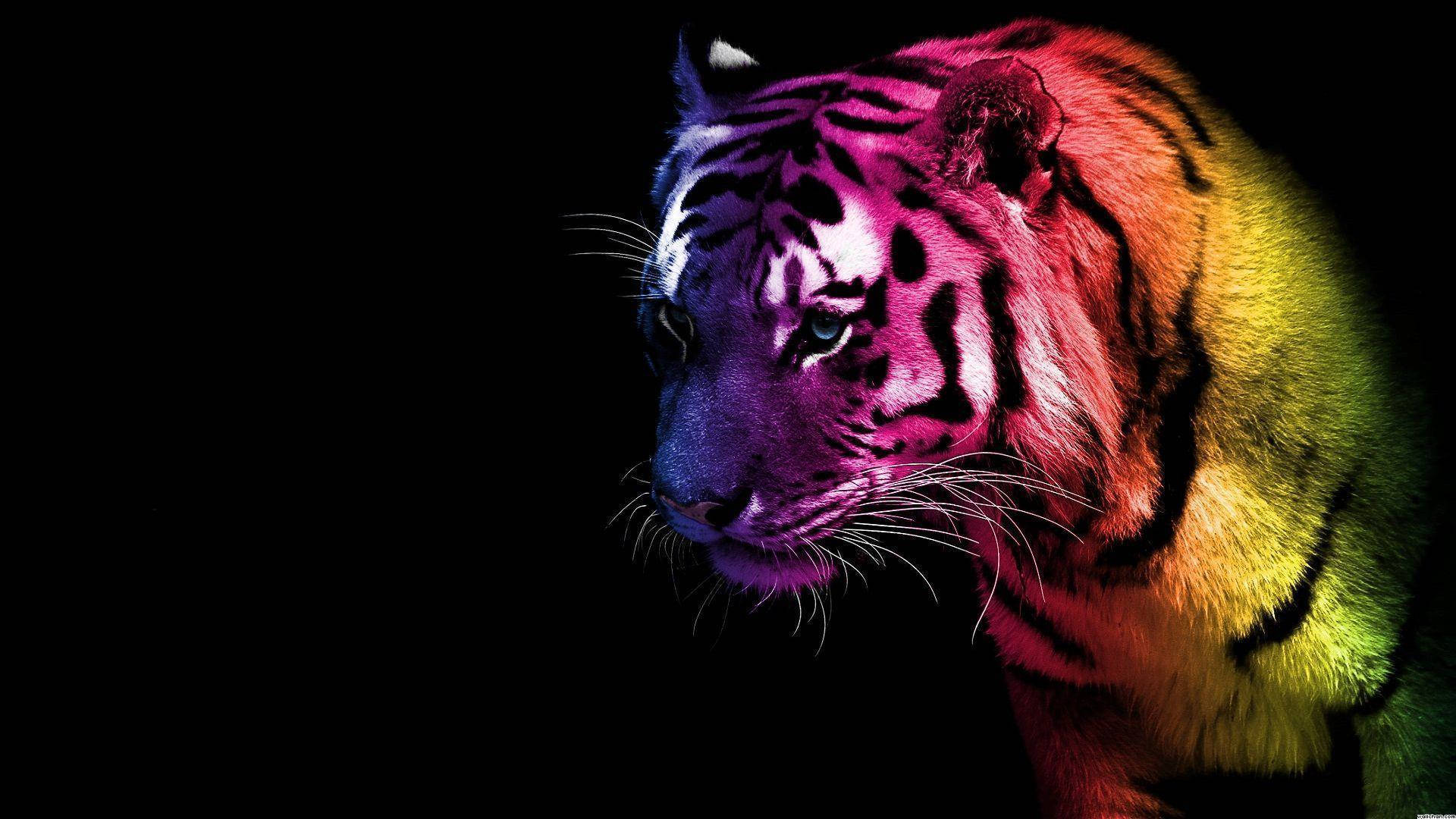 Cool Multi Colored Tiger Art Background