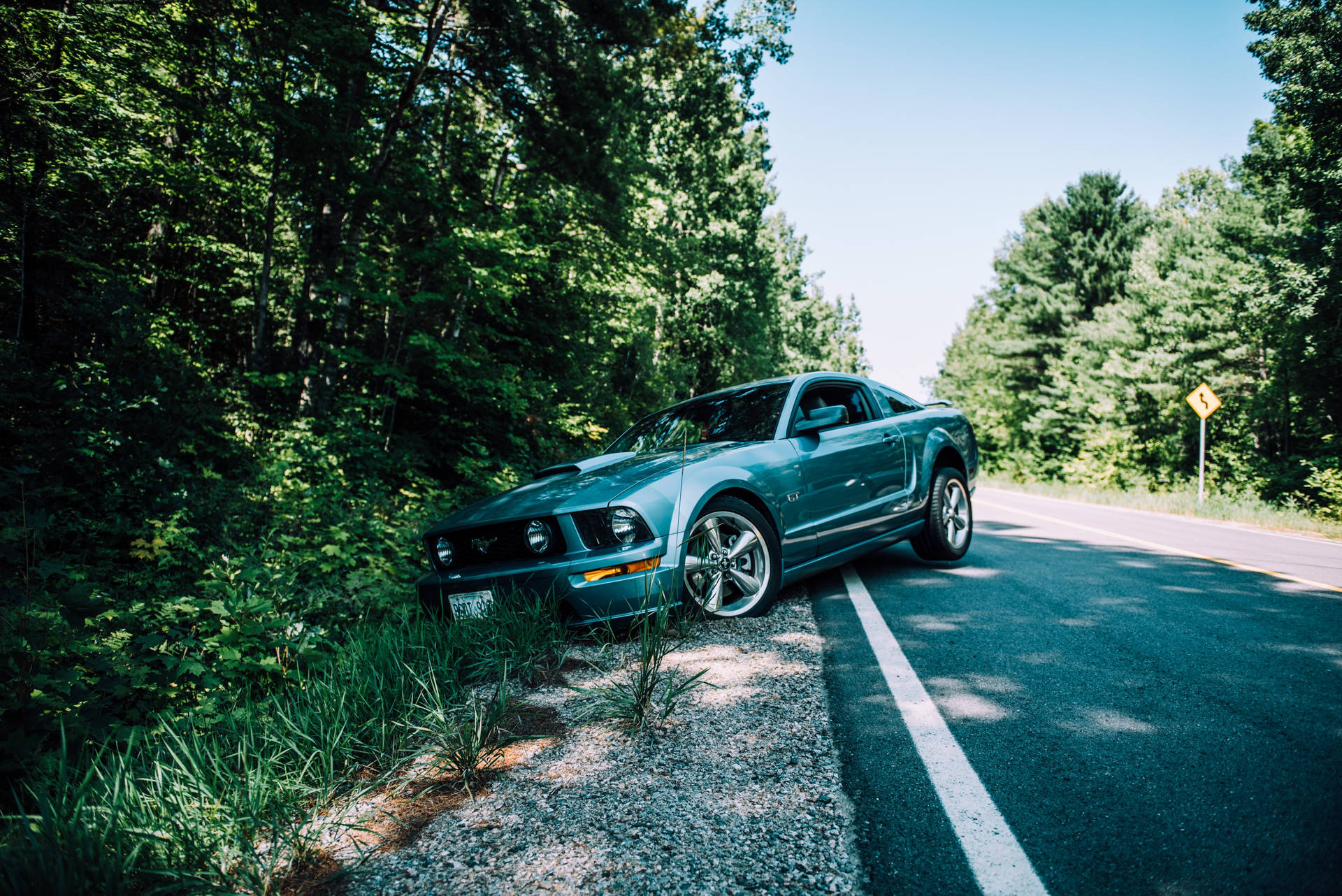 Disfrutadel Paseo Con Este Genial Mustang 🚘 Fondo de pantalla