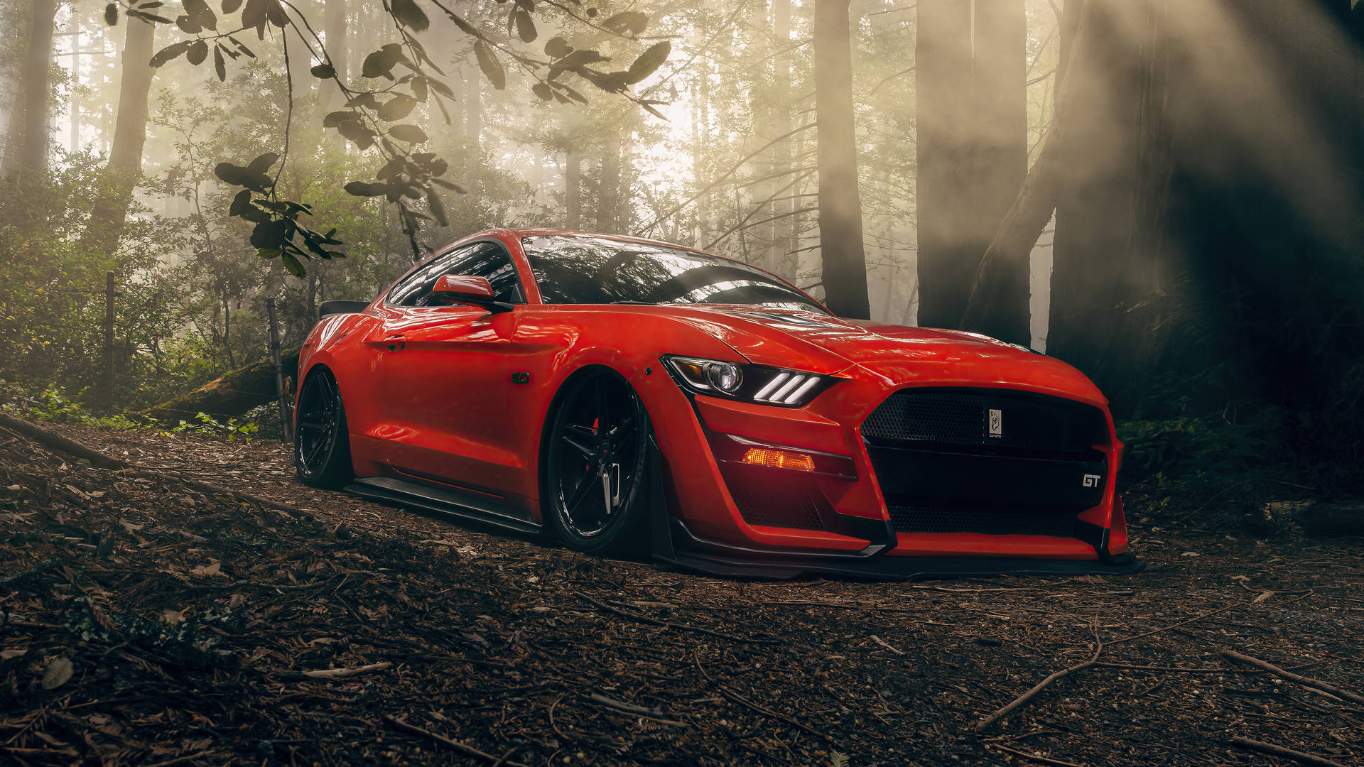 Cool Mustang In Forest Wallpaper