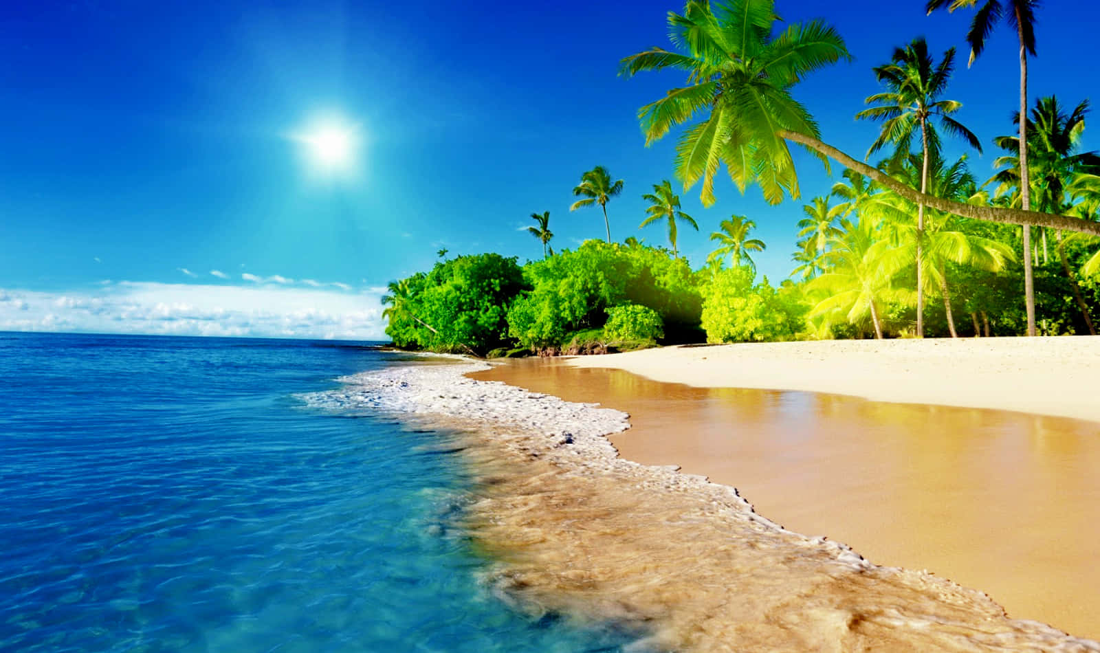 Scenatropicale Con Spiaggia Naturale E Fresca Sfondo