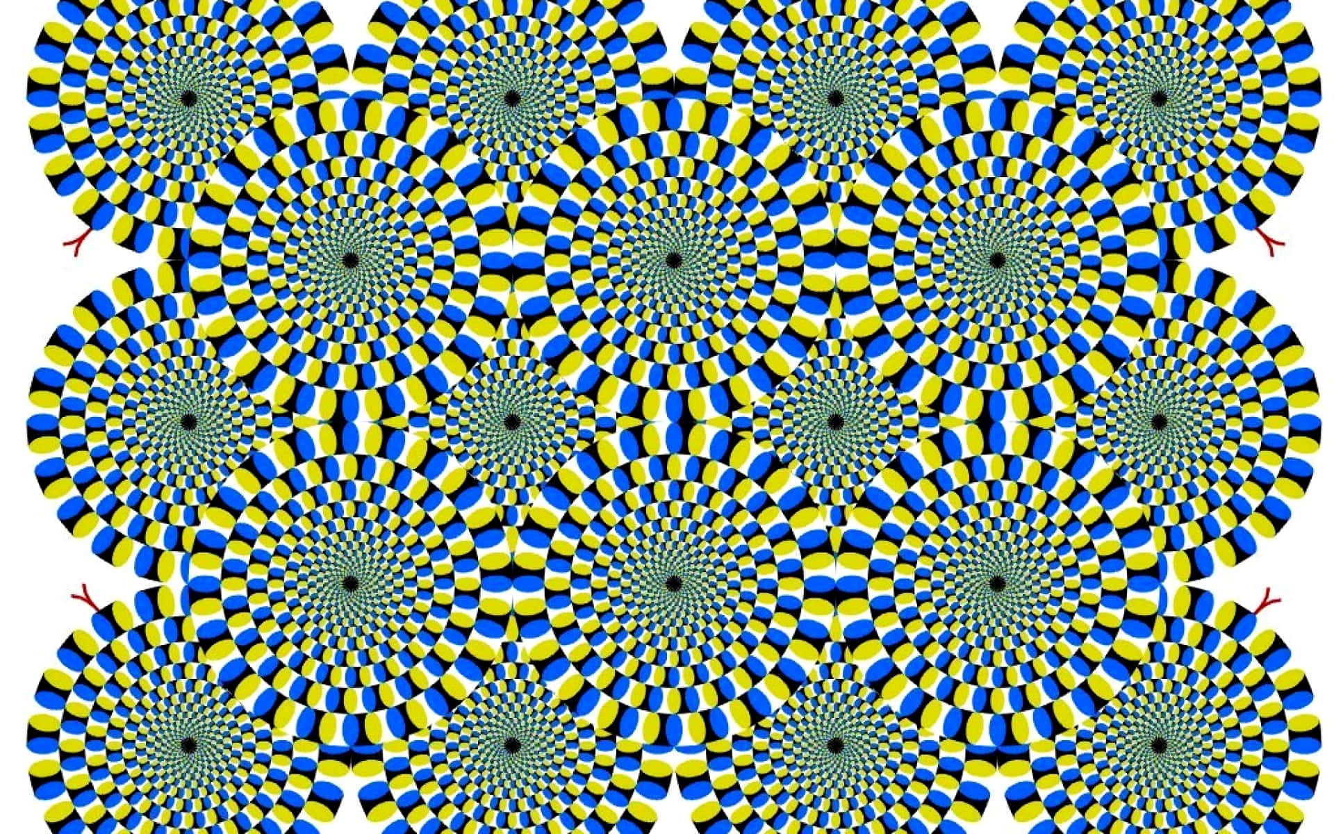 Grönacoola Optiska Illusioner Som Spiraler. Wallpaper