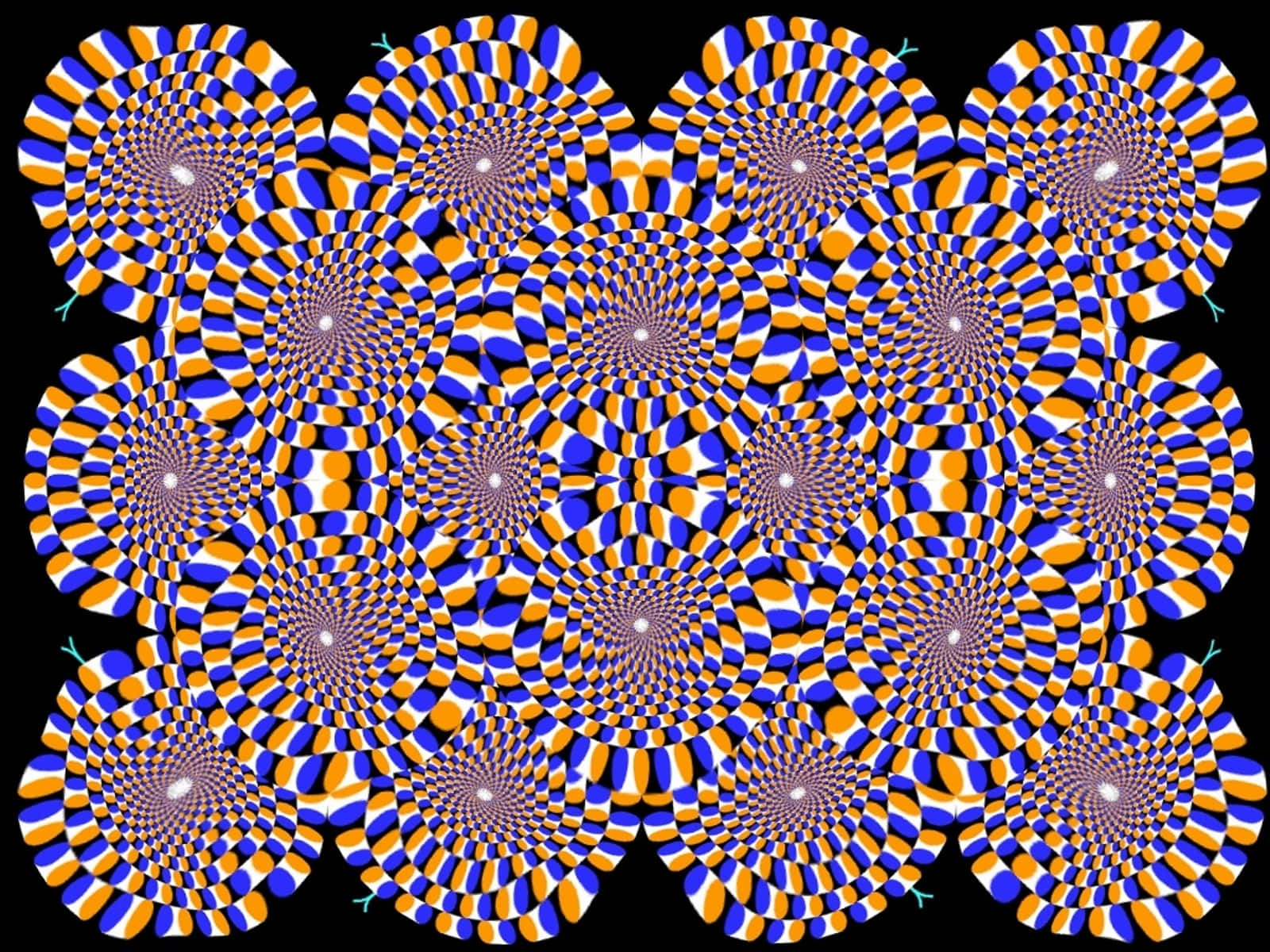 En blå og gul optisk illusion tapet Wallpaper