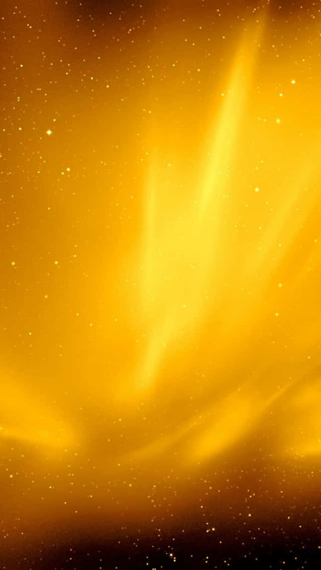 Brighten up your day with a cool orange! Wallpaper