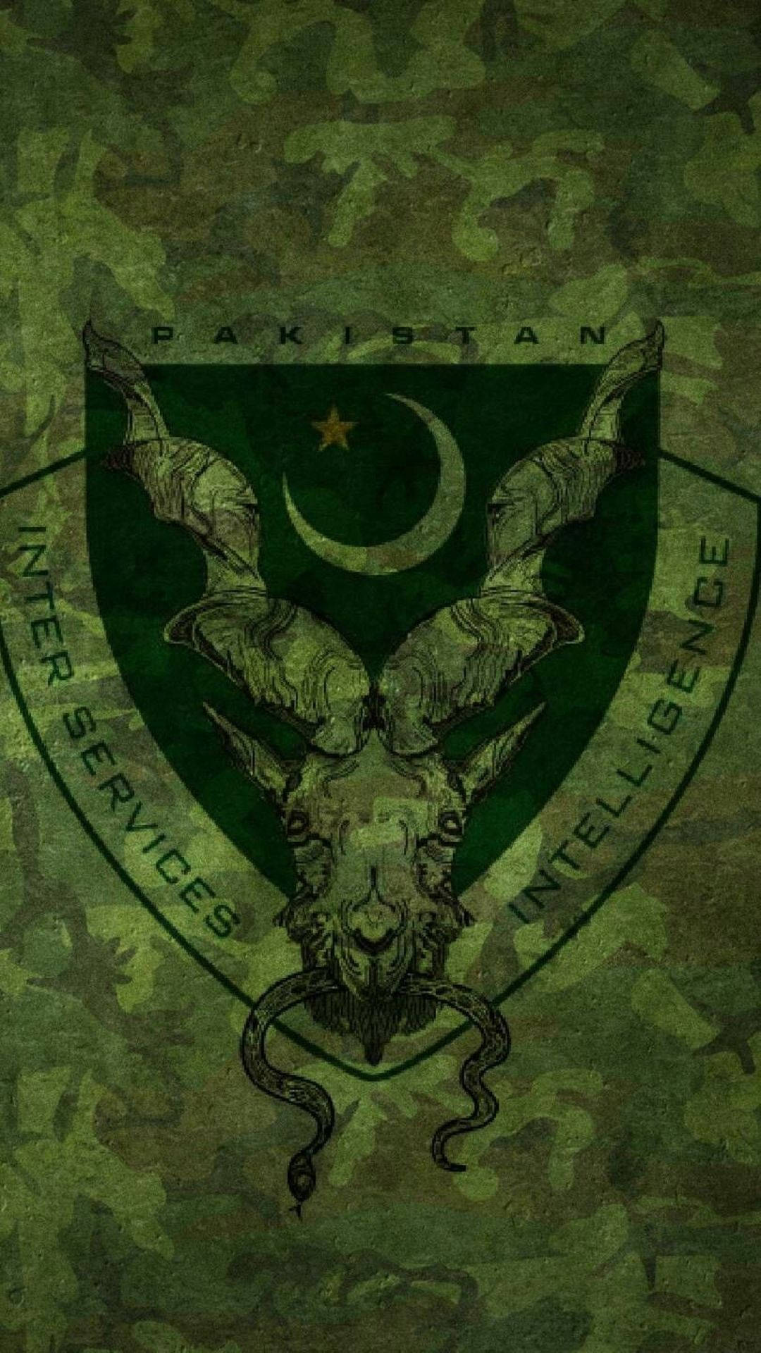 Cool Pakistan Team Logo Wallpaper