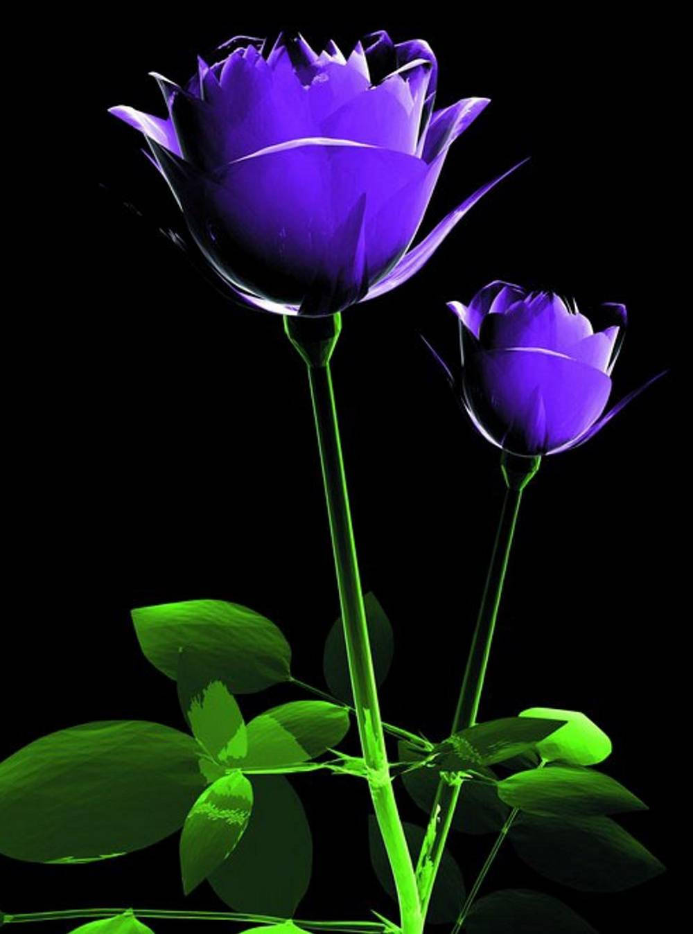 Cool Phone Purple Flower