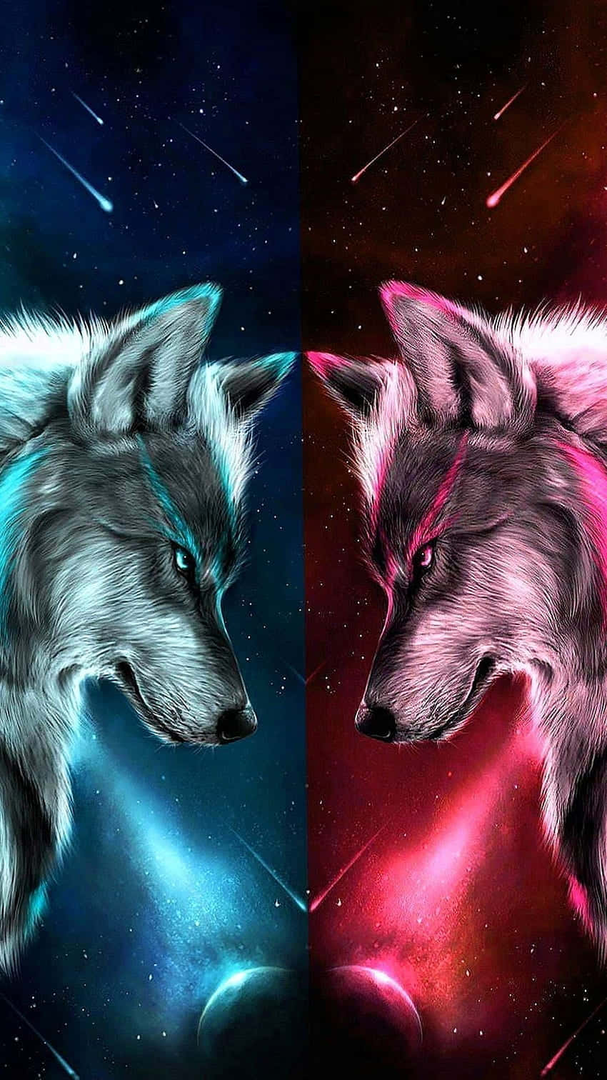 Portrait Blue And Pink Neon Foxes Cool Photos Background