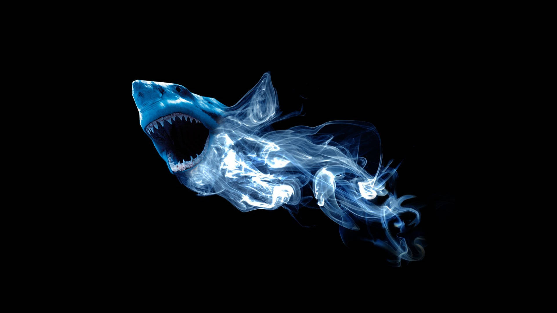 Cool Pictures Shark Digital Art Background