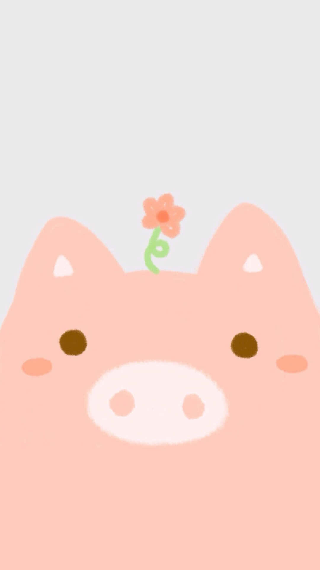 Cool Piggy And Flower Wallpaper
