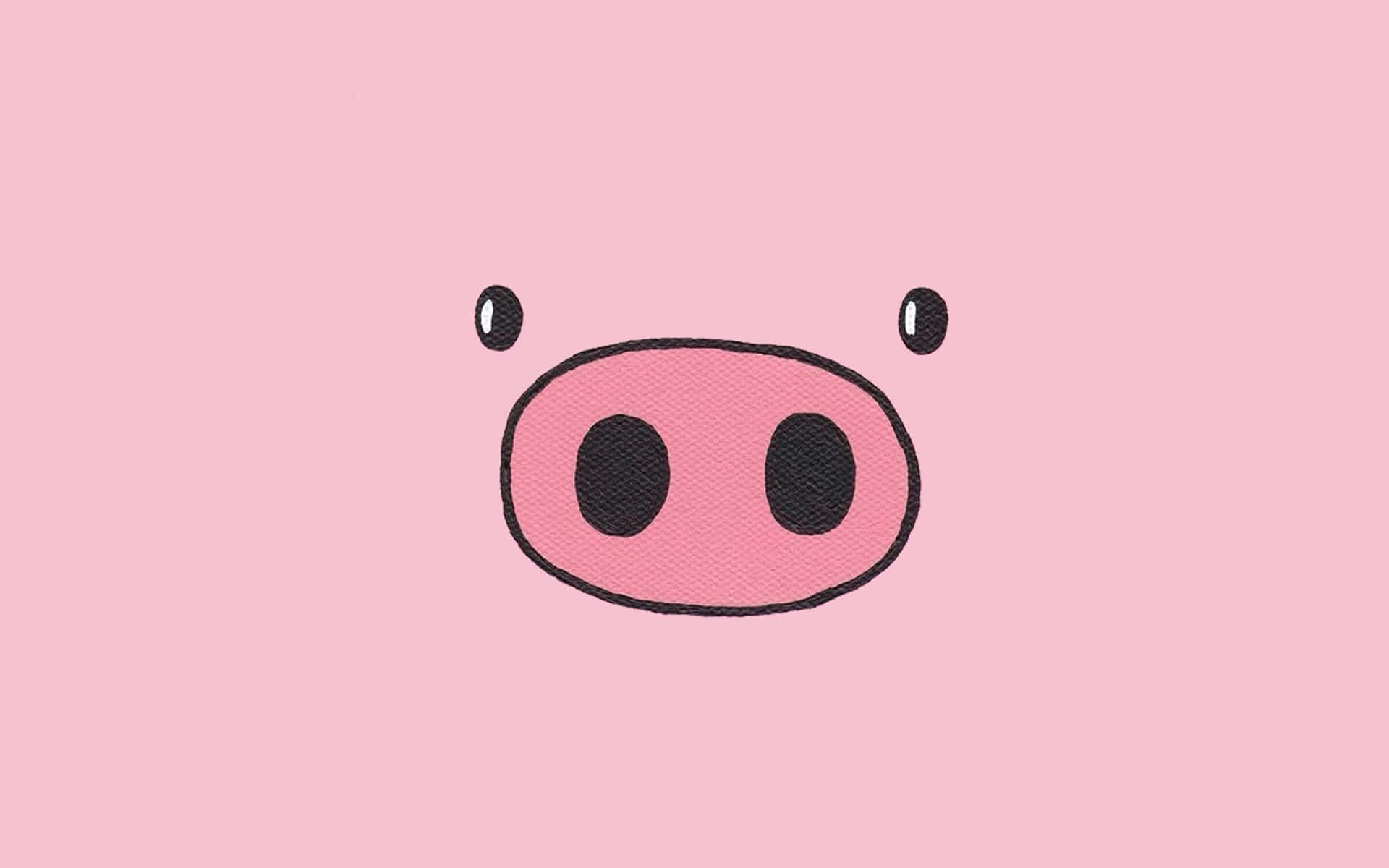 Cool Piggy Face Wallpaper