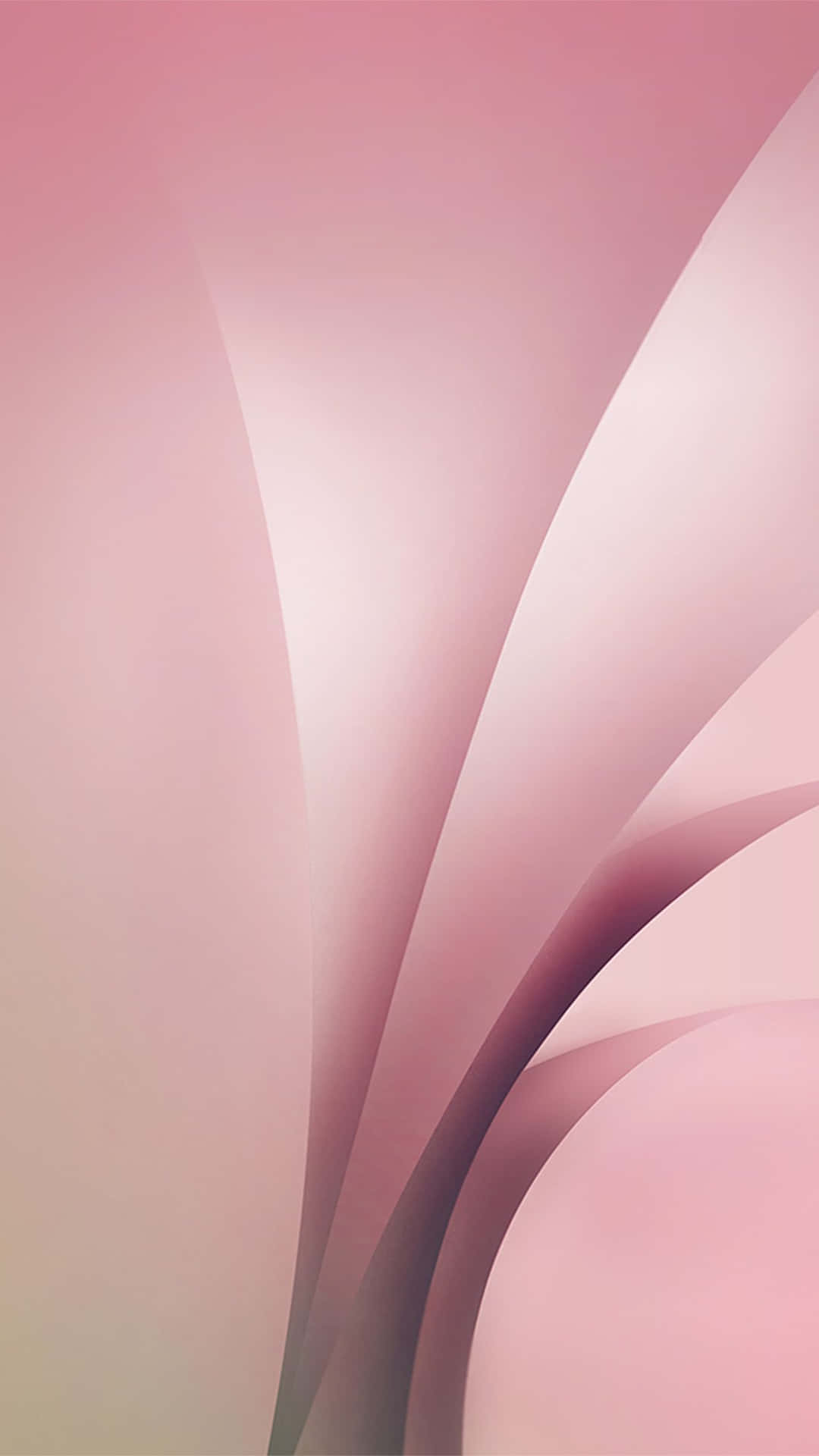 Elegant Cool Pink Background